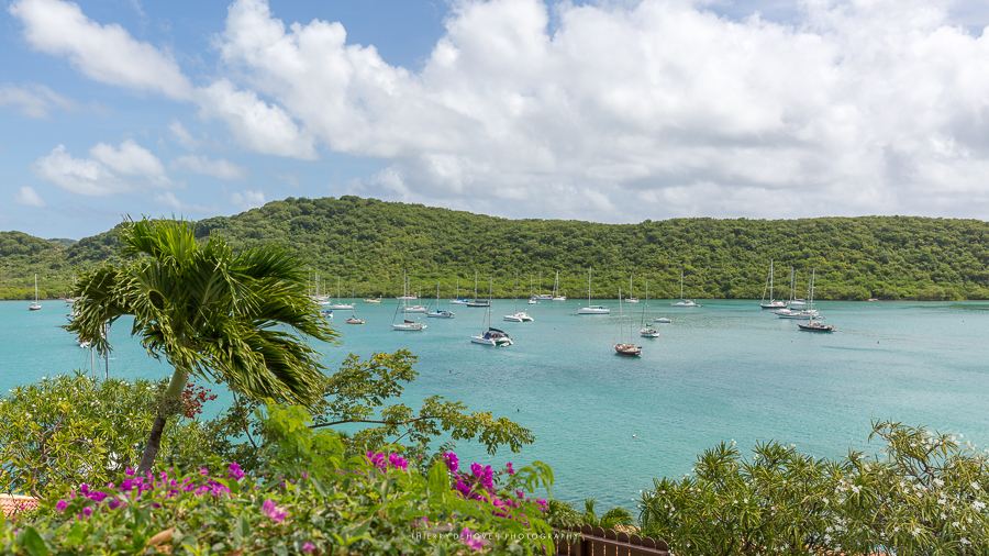 Mount Hartman Bay Estate