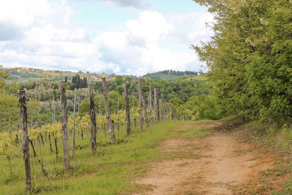 Villa Torre Il Santo