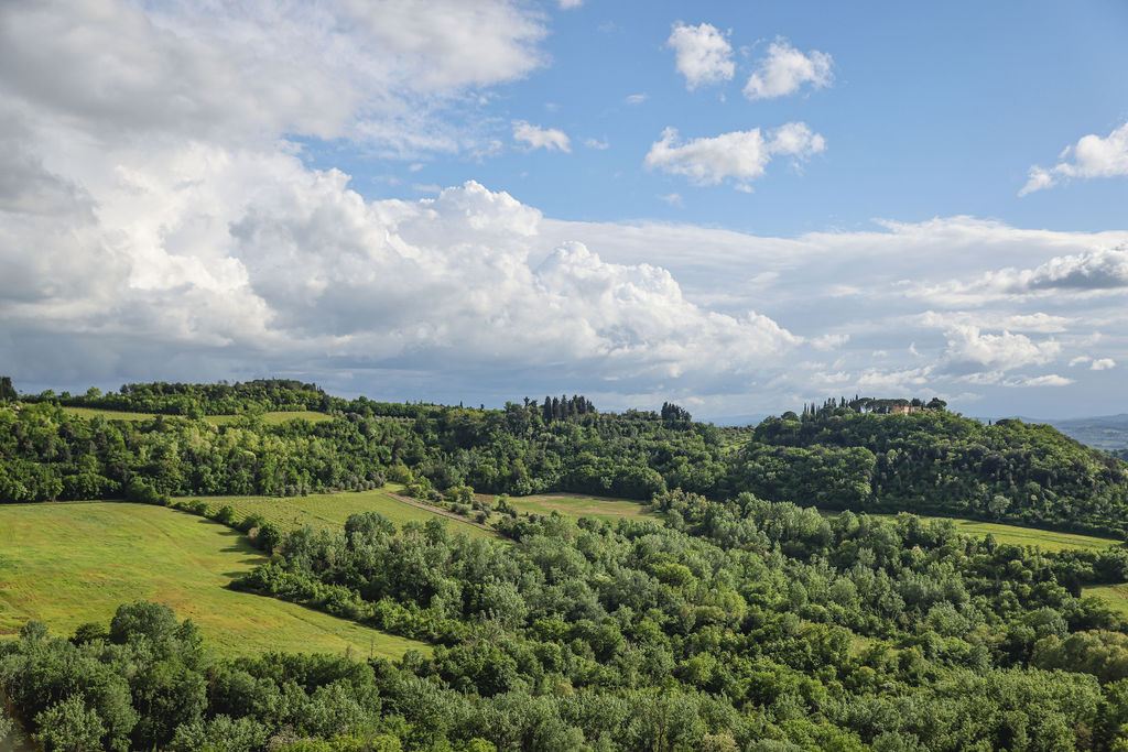 Villa Torre Il Santo