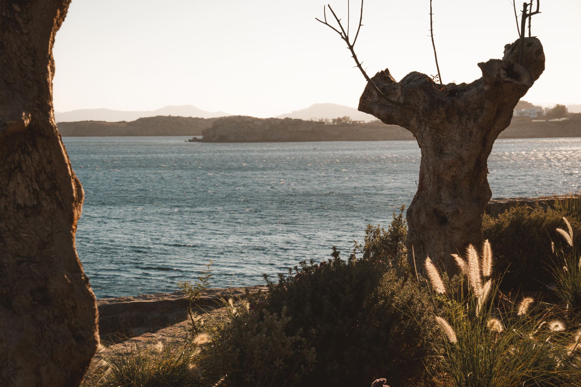 Splendid Waterfront Villa 2