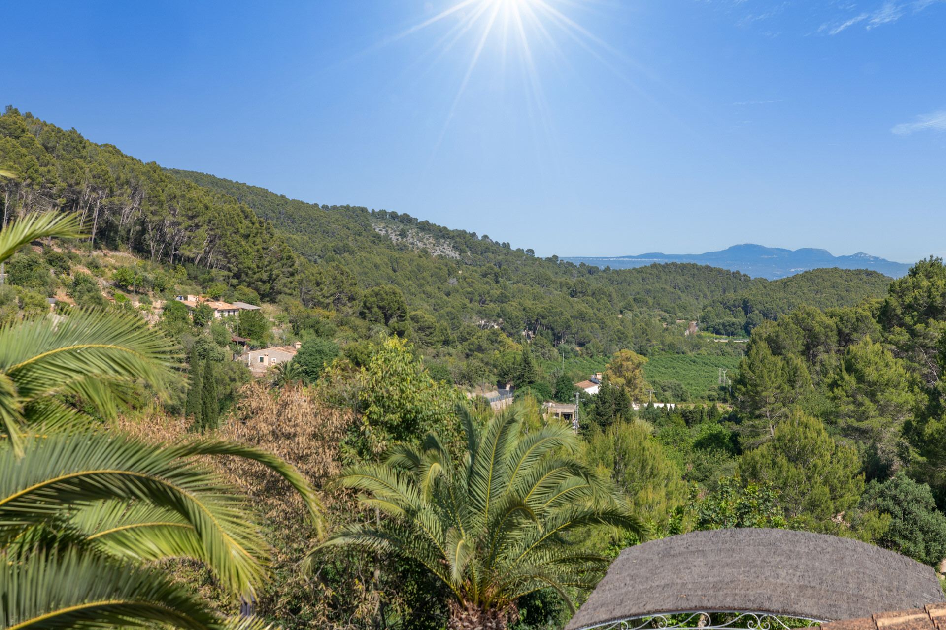 Finca Especial El Pino Esporles