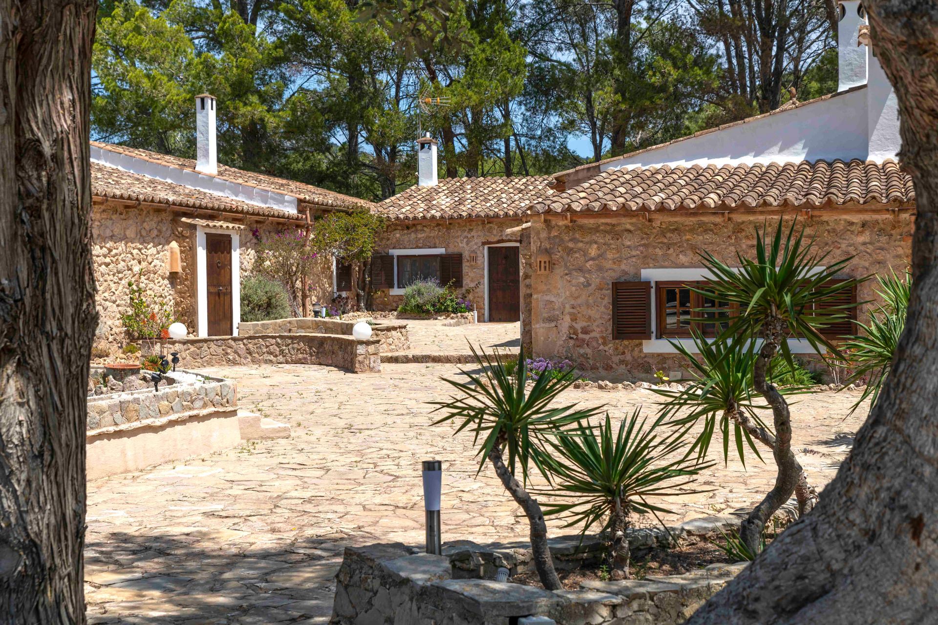 Finca Especial El Pino Esporles