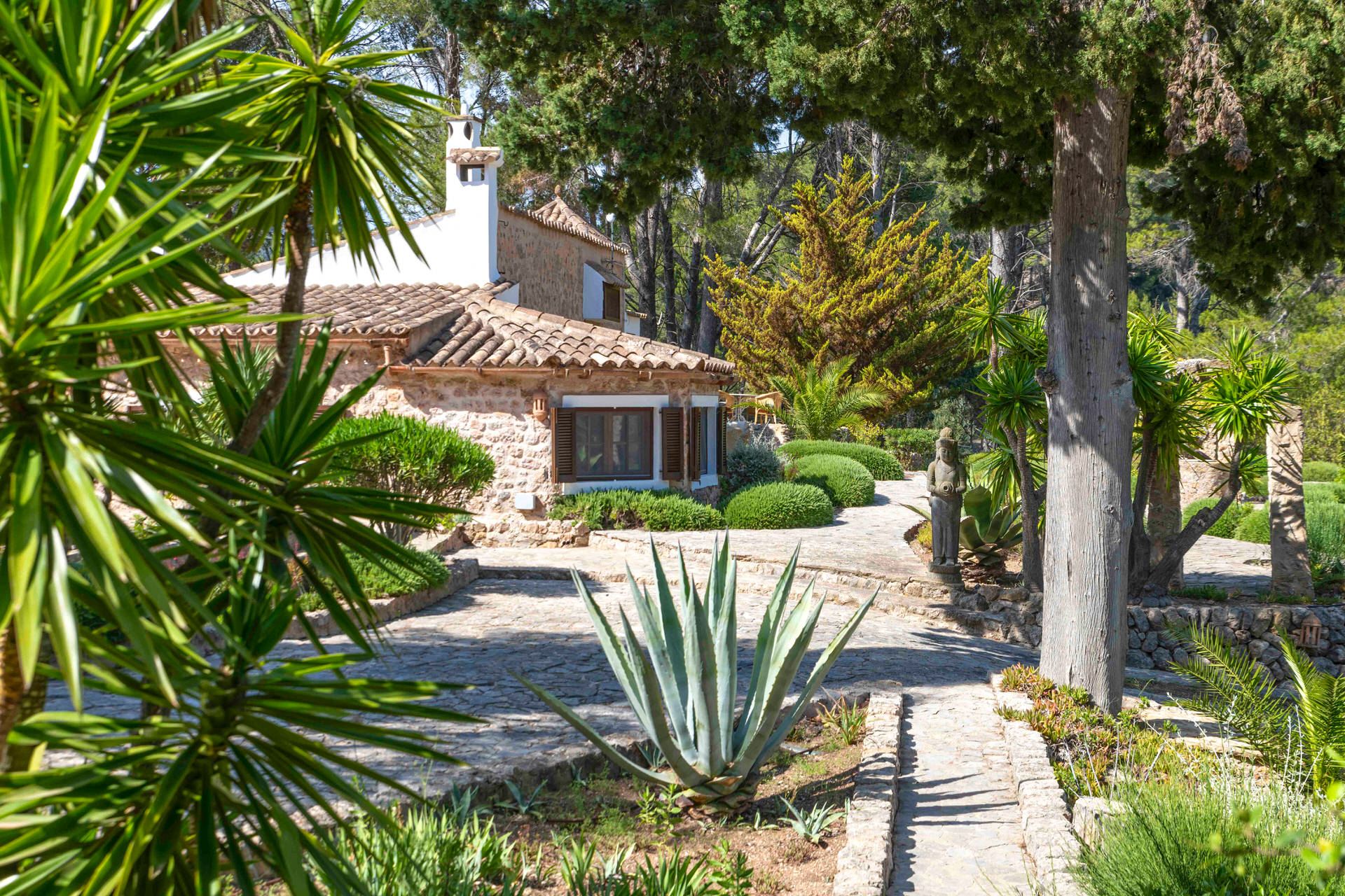 Finca Especial El Pino Esporles