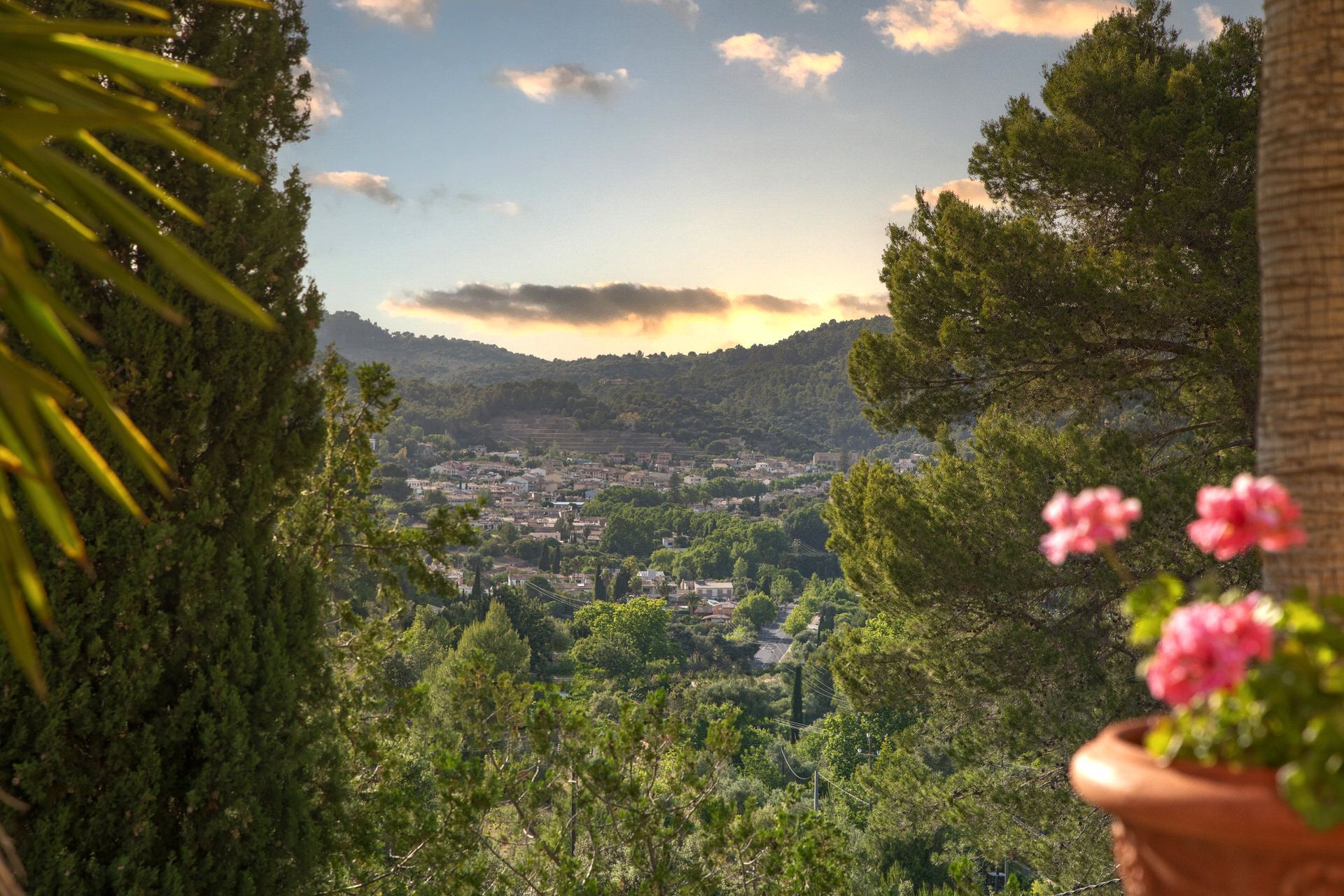 Finca Especial El Pino Esporles