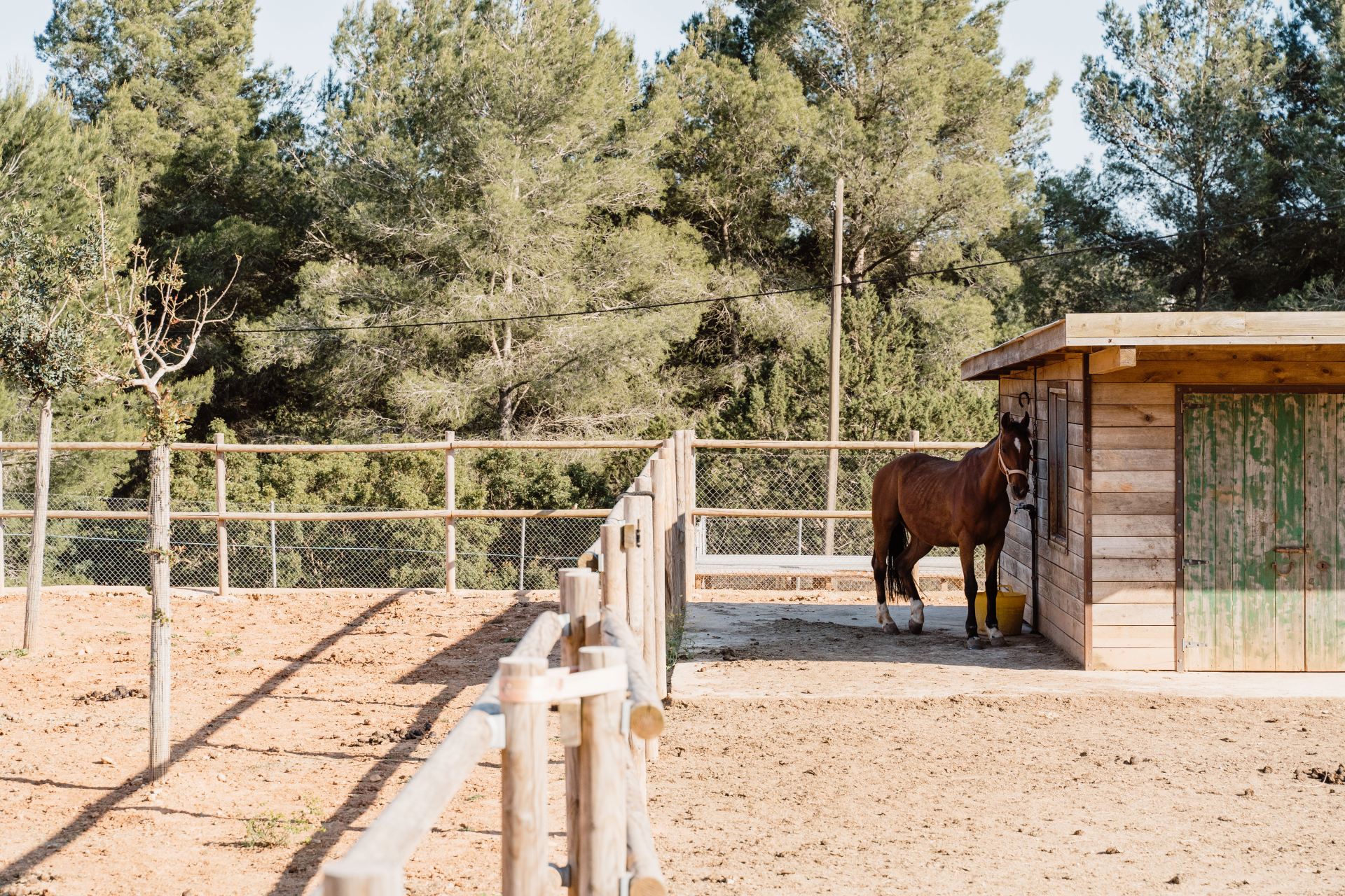 Can Pep De Sa Guaita