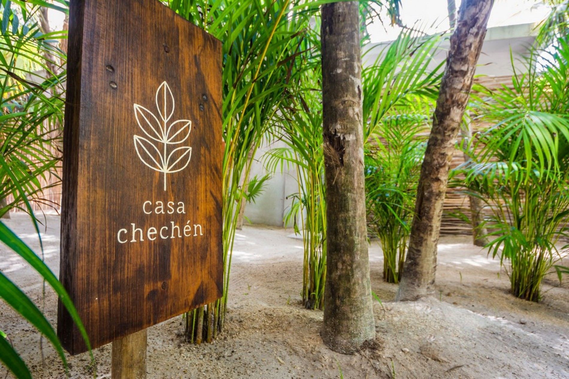 Casa Chechen Penthouse