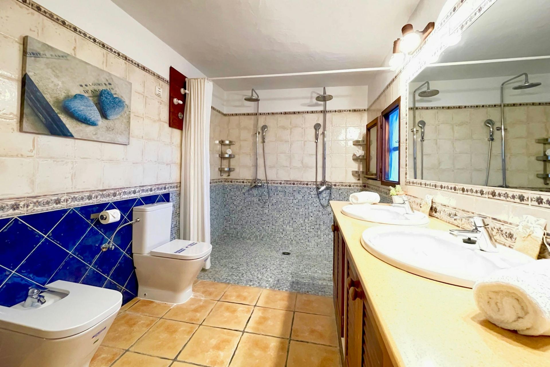 Can Elissa