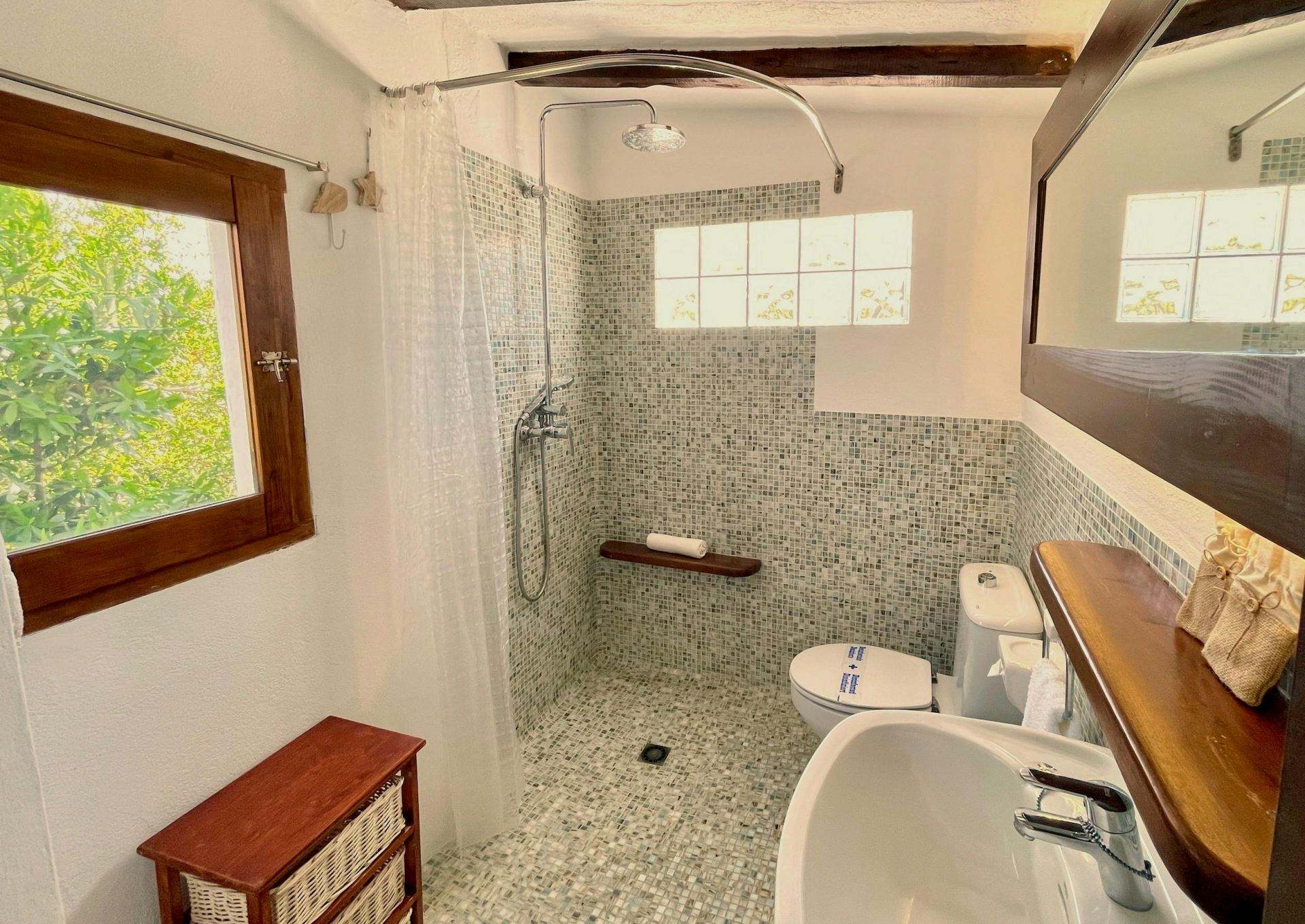 Can Elissa