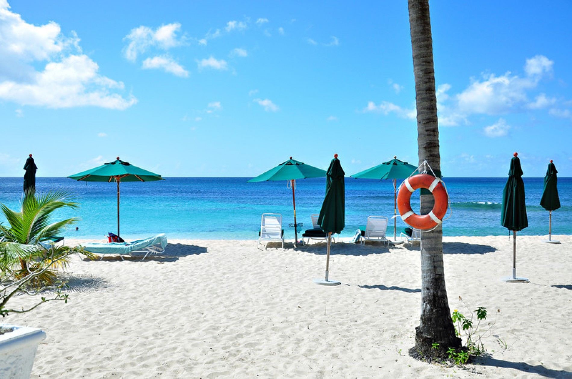 Glitter Bay Estate 412 - Beach Palms