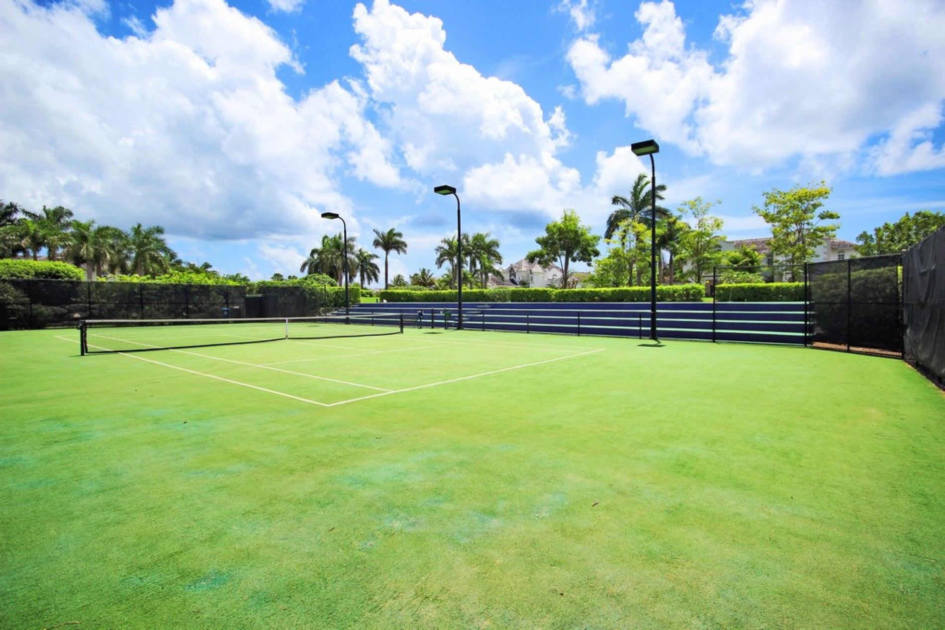 Sugar Hill - Jade Vine