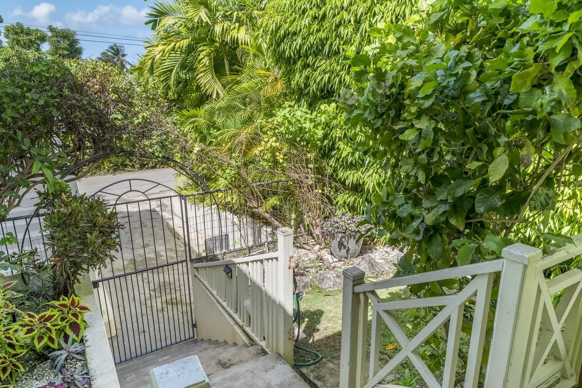 Sunset Crest, Tilting Trees