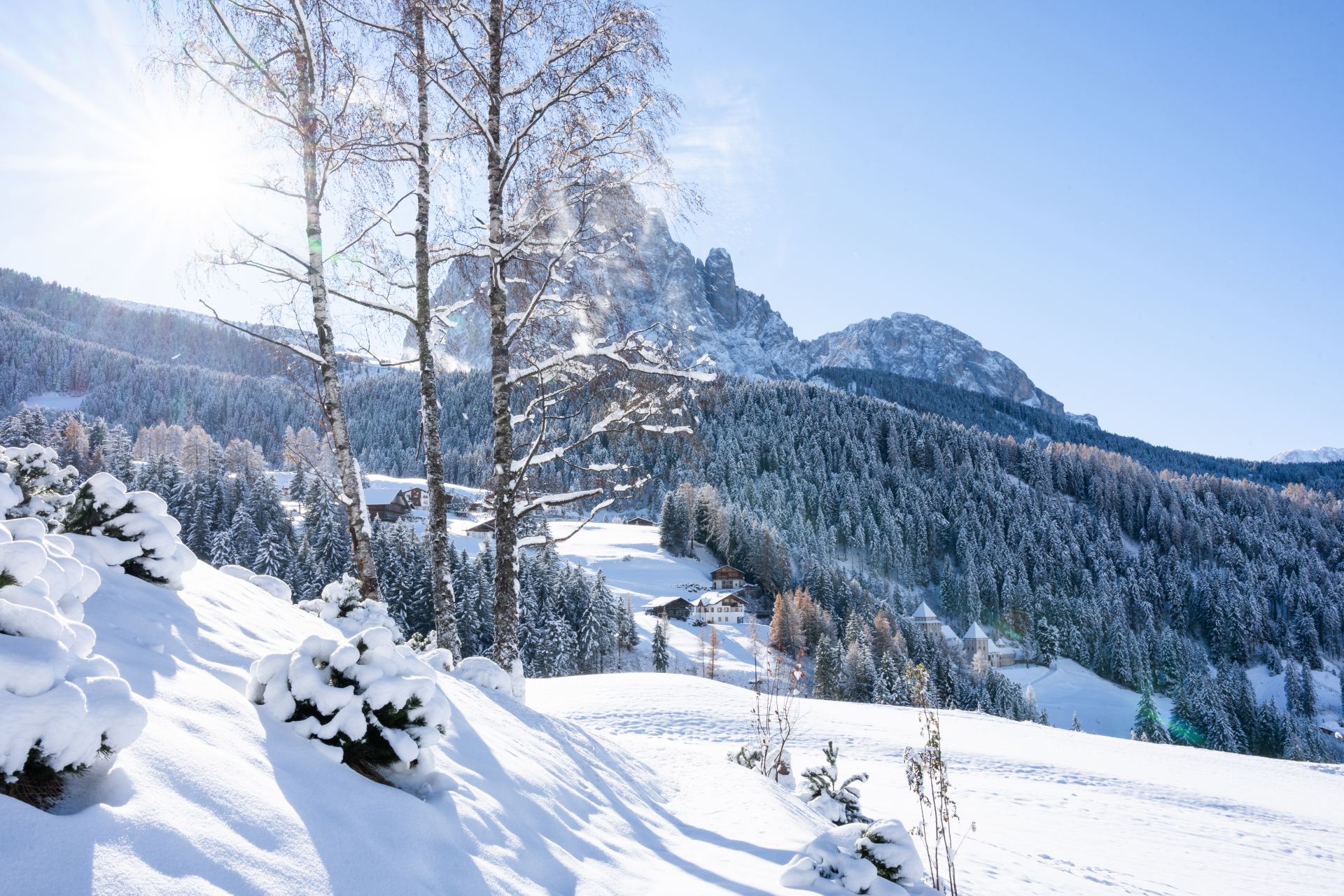 Chalet Villa Carolina