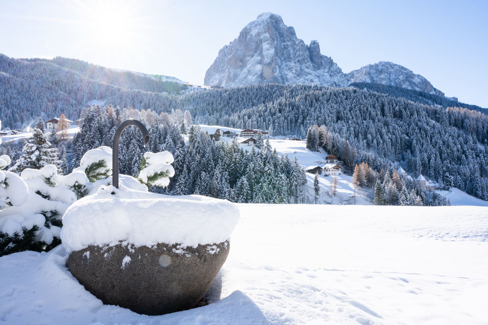 Chalet Villa Carolina