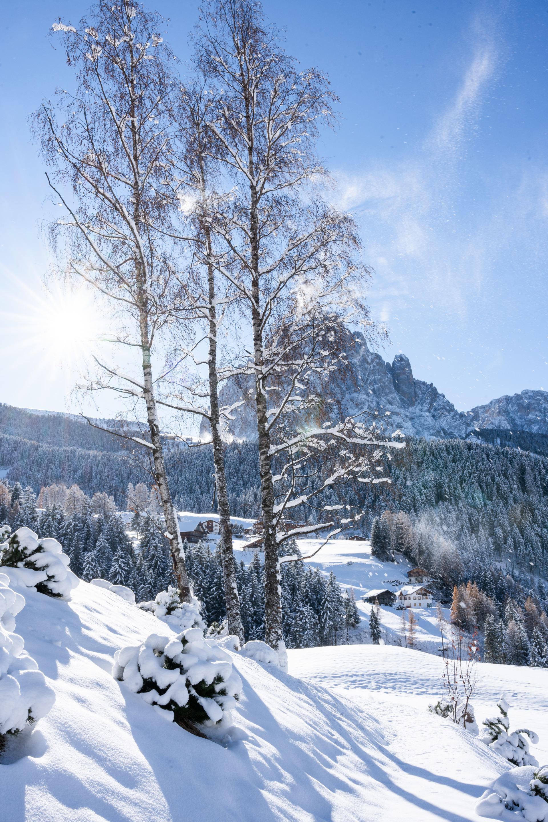 Chalet Villa Carolina