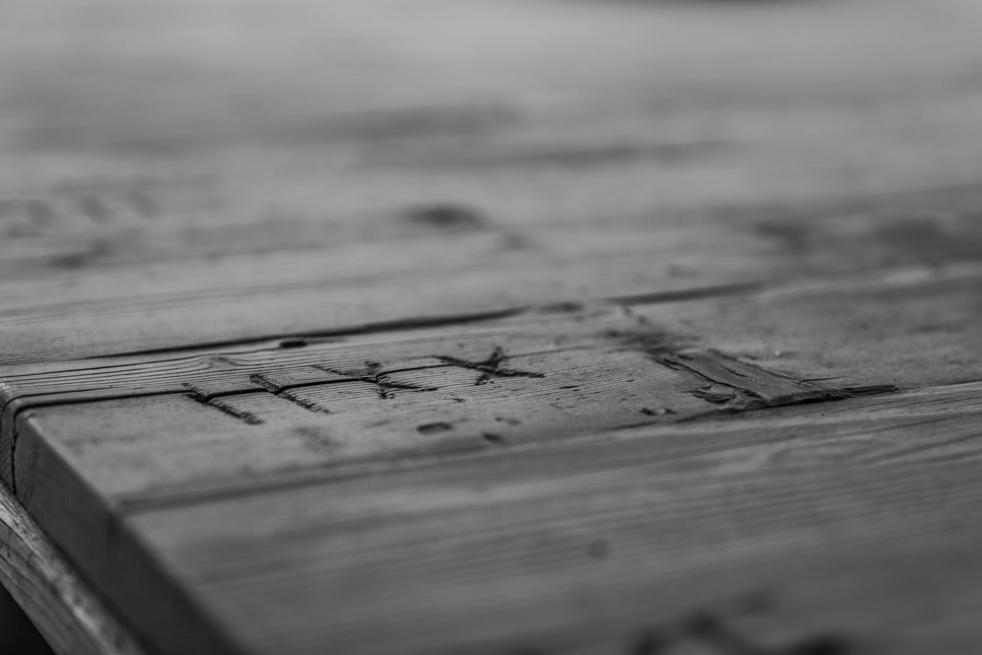 Chalet Cesa del Louf