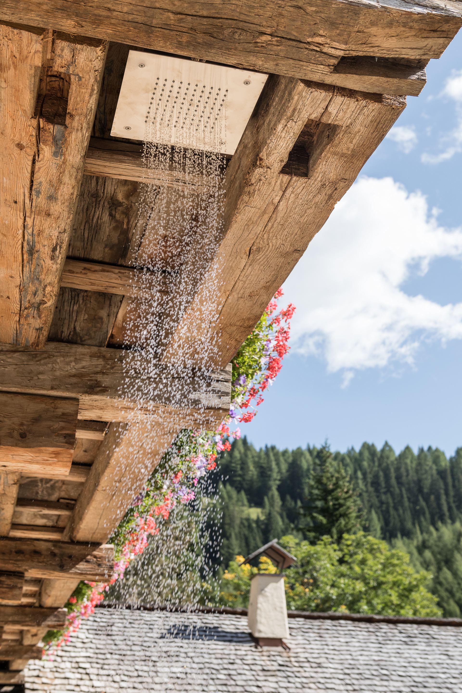 Chalet Cesa del Louf