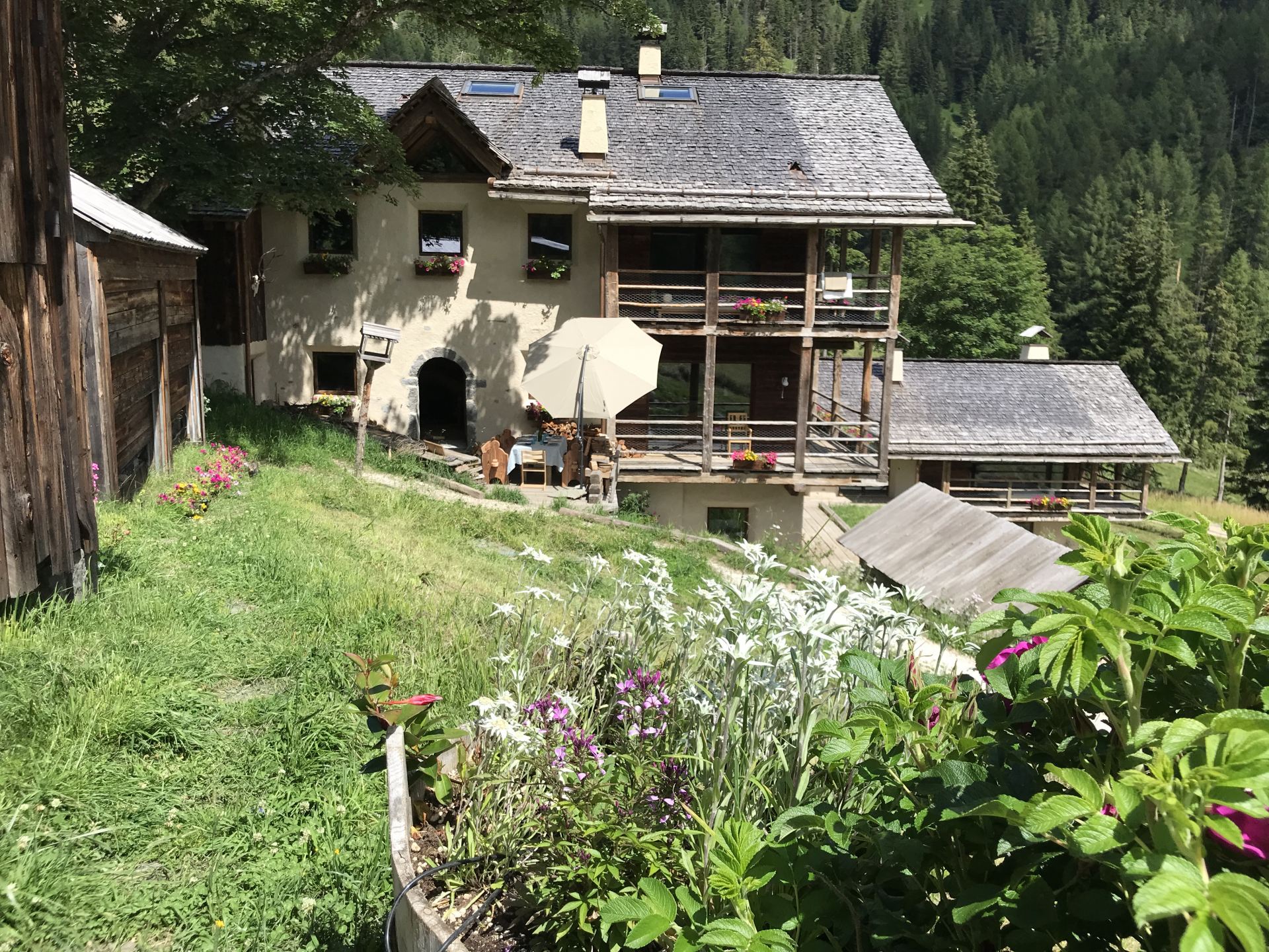 Chalet Cesa del Louf