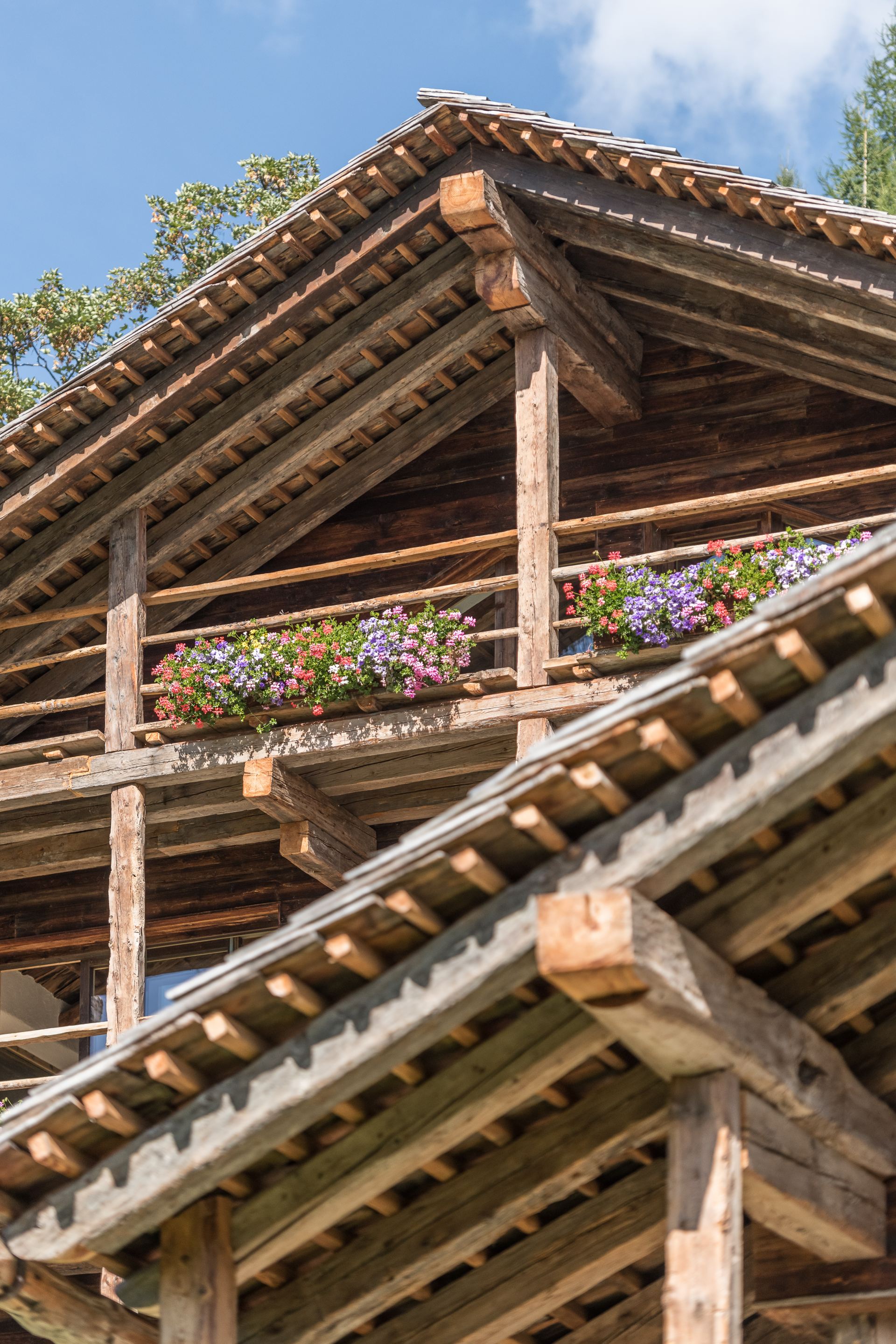 Chalet Cesa del Louf