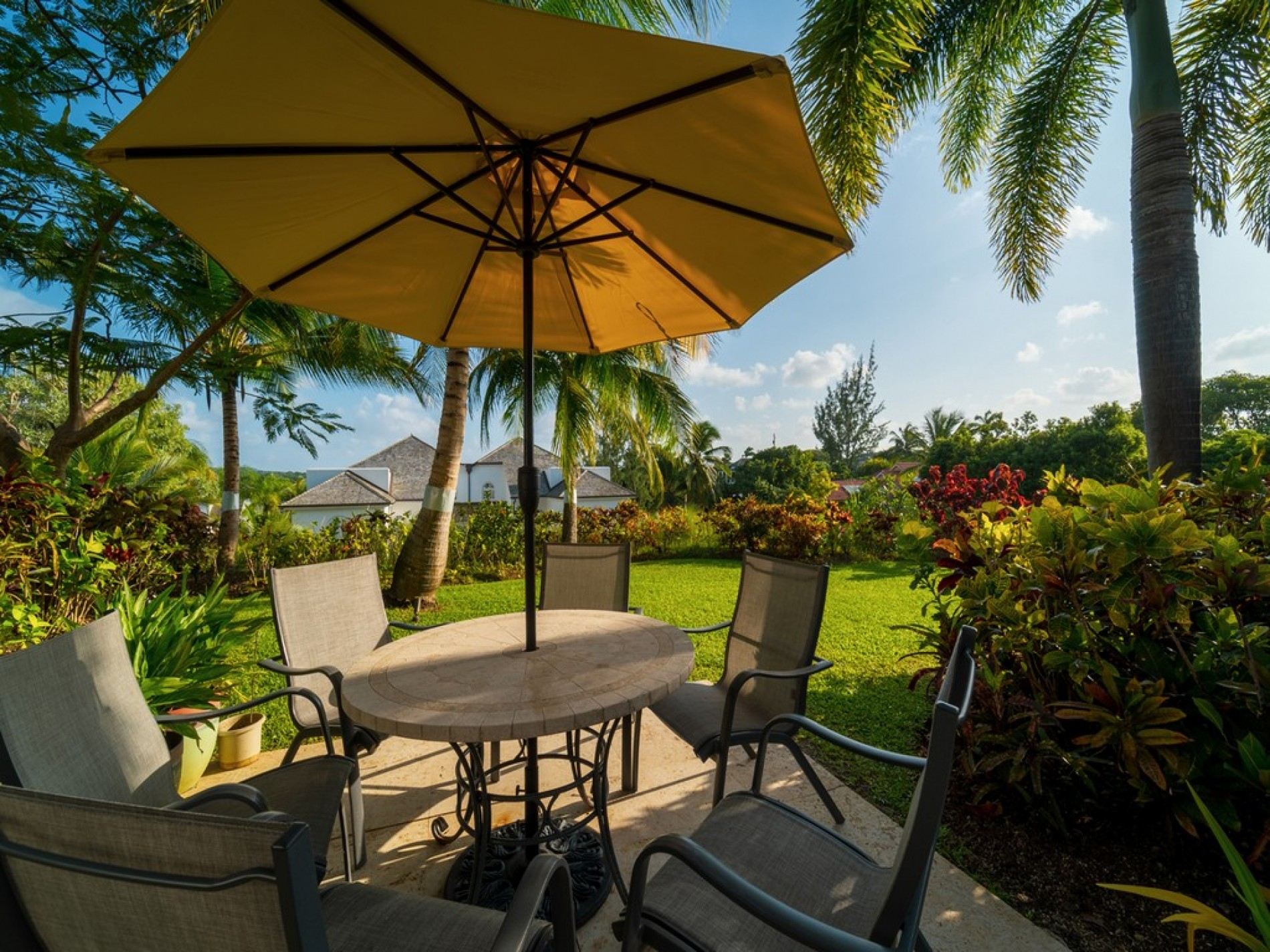 Royal Wesmoreland - Sugar Cane Ridge 3