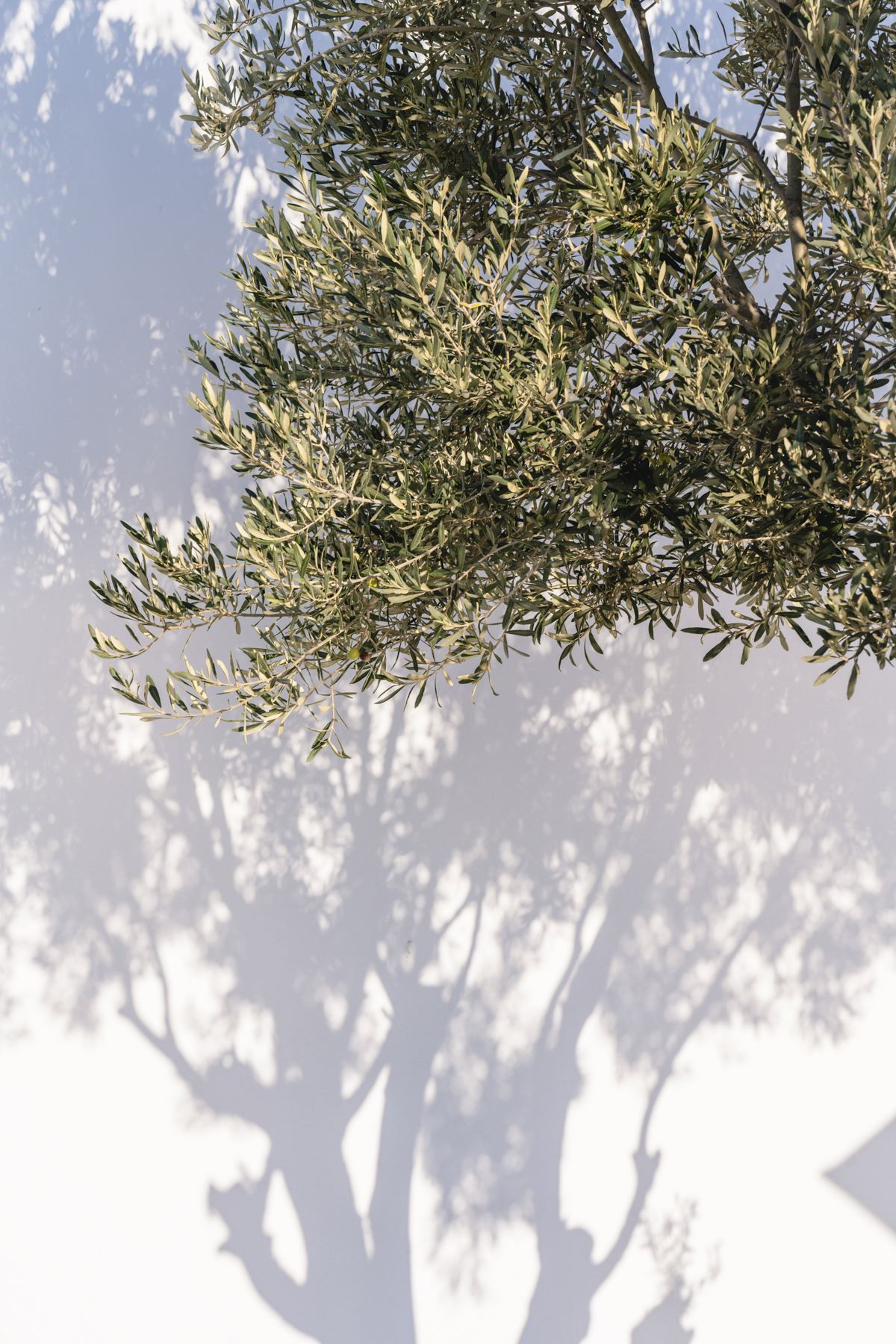 Villa The Cove-Tourlous