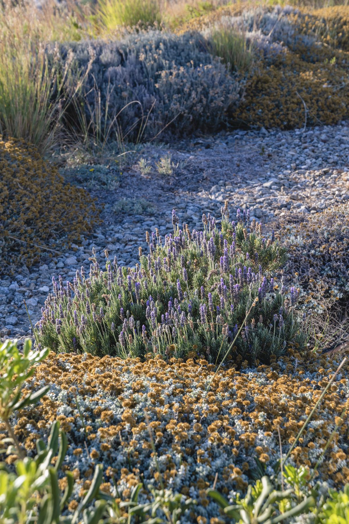 Villa The Cove-Tourlous