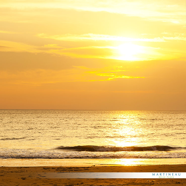 Martineau Belle Playa