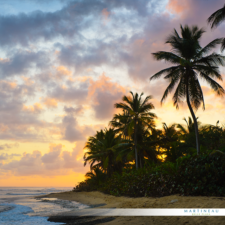 Martineau Belle Playa