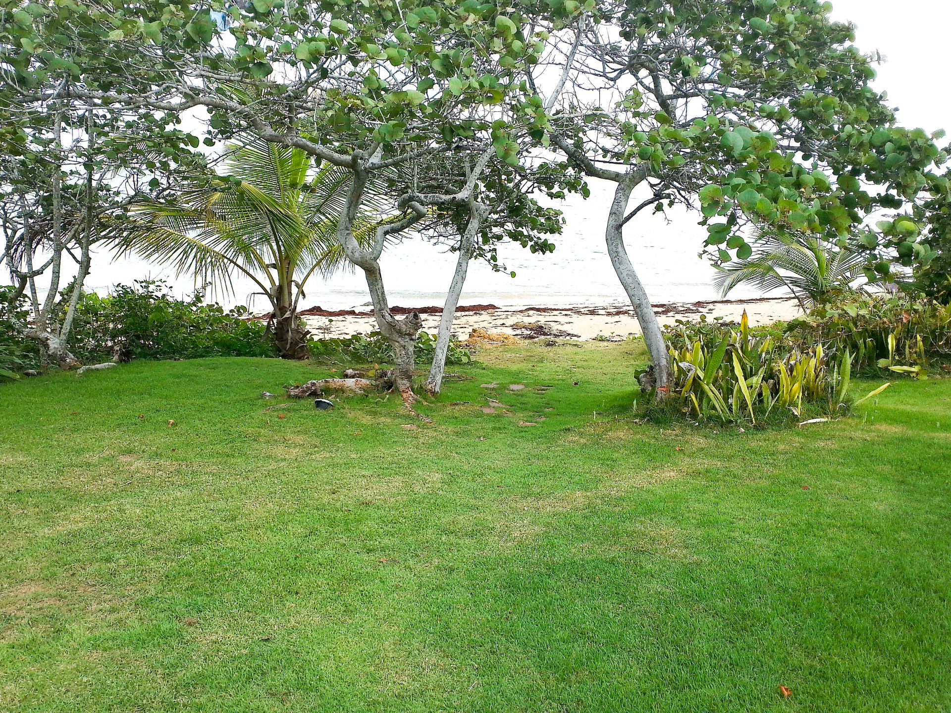 Martineau Belle Playa