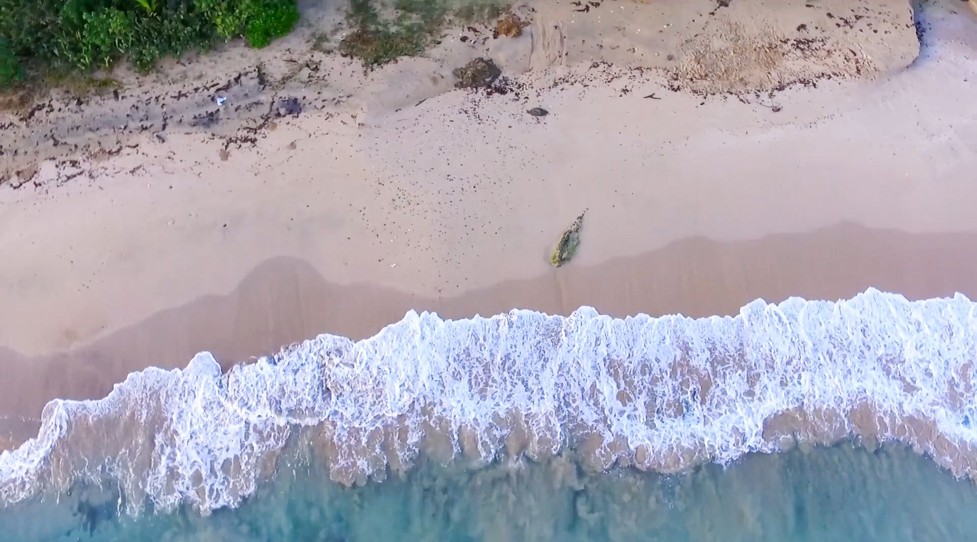 Martineau Belle Playa