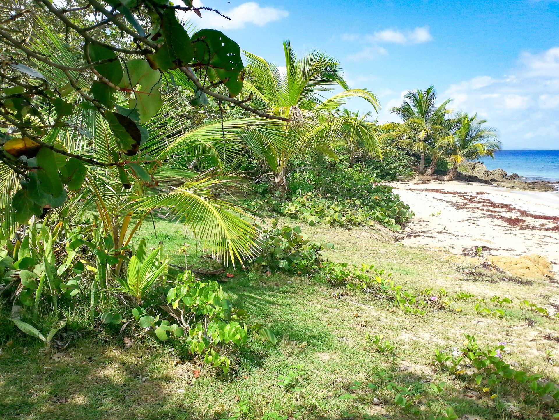 Martineau Belle Playa