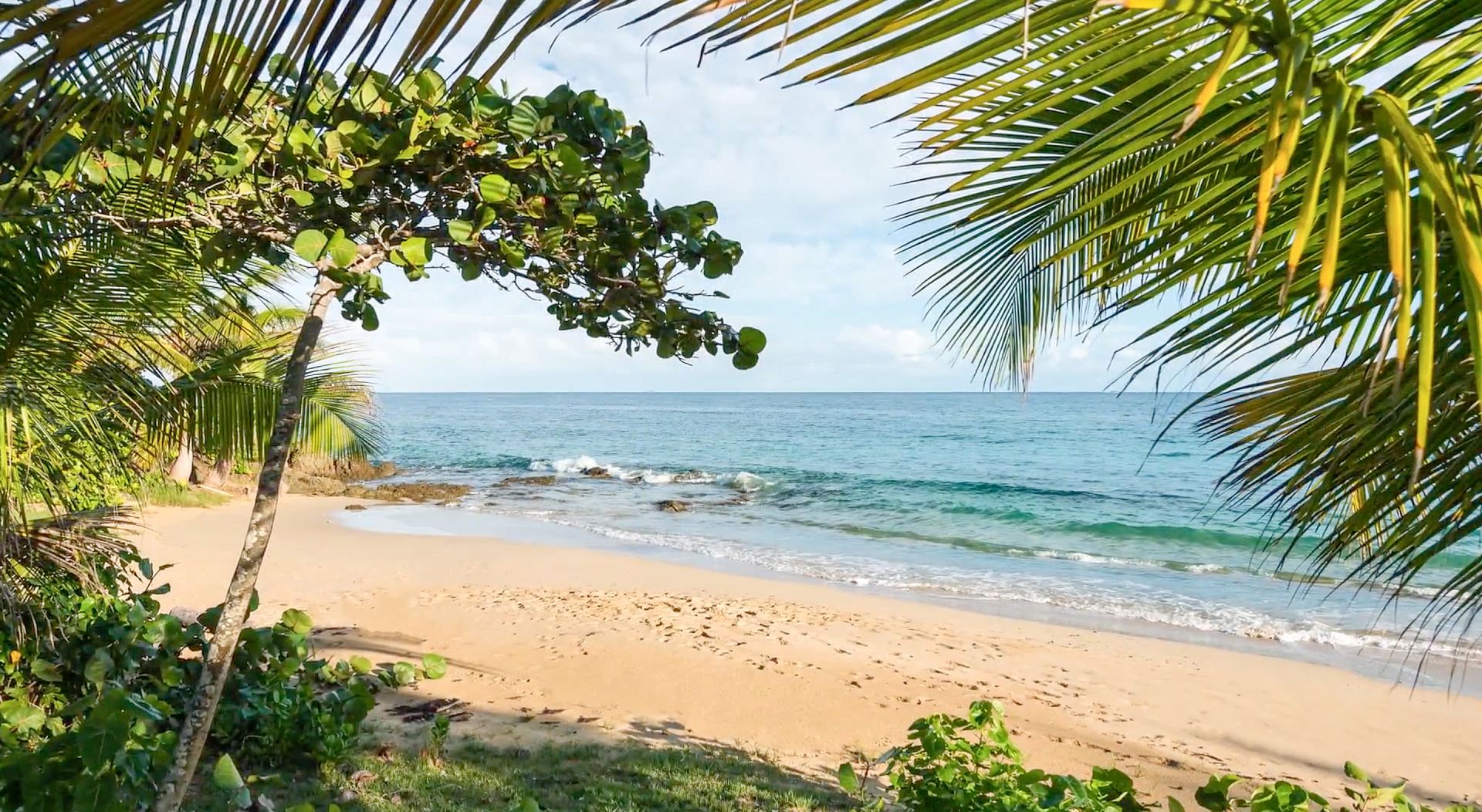 Martineau Belle Playa