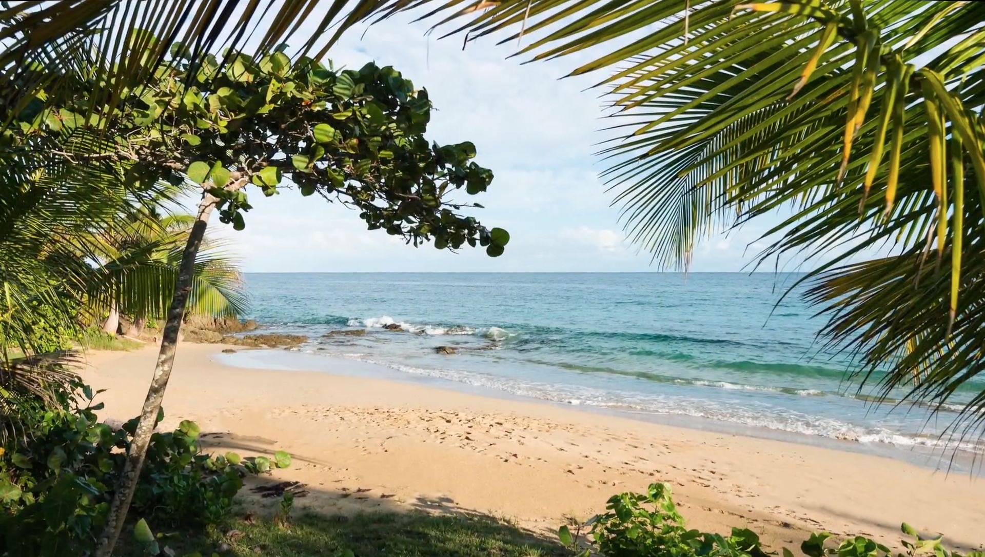 Martineau Belle Playa