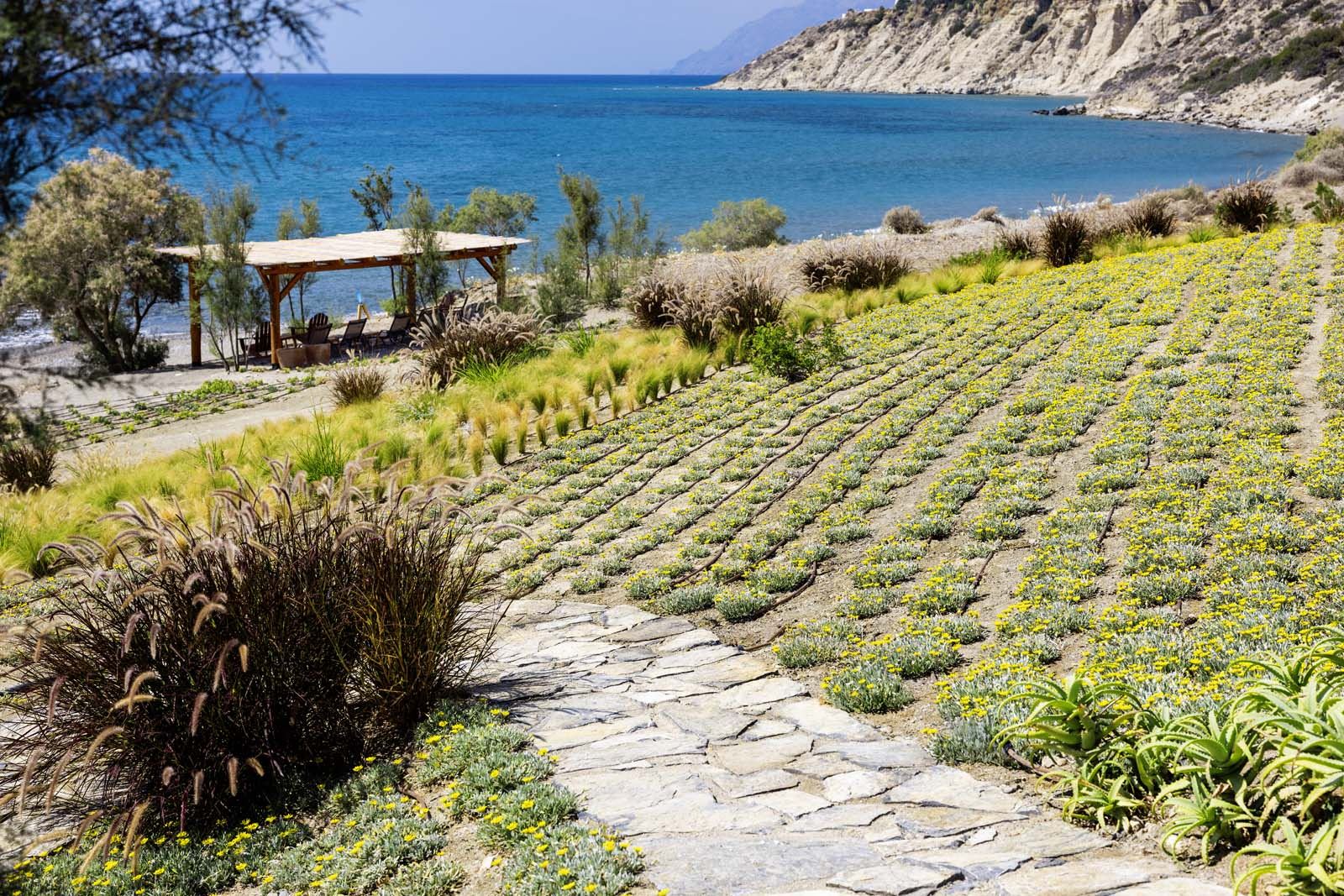 Beach House Arvi East