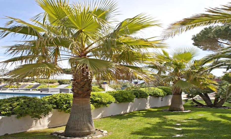 Villa Pampelonne House