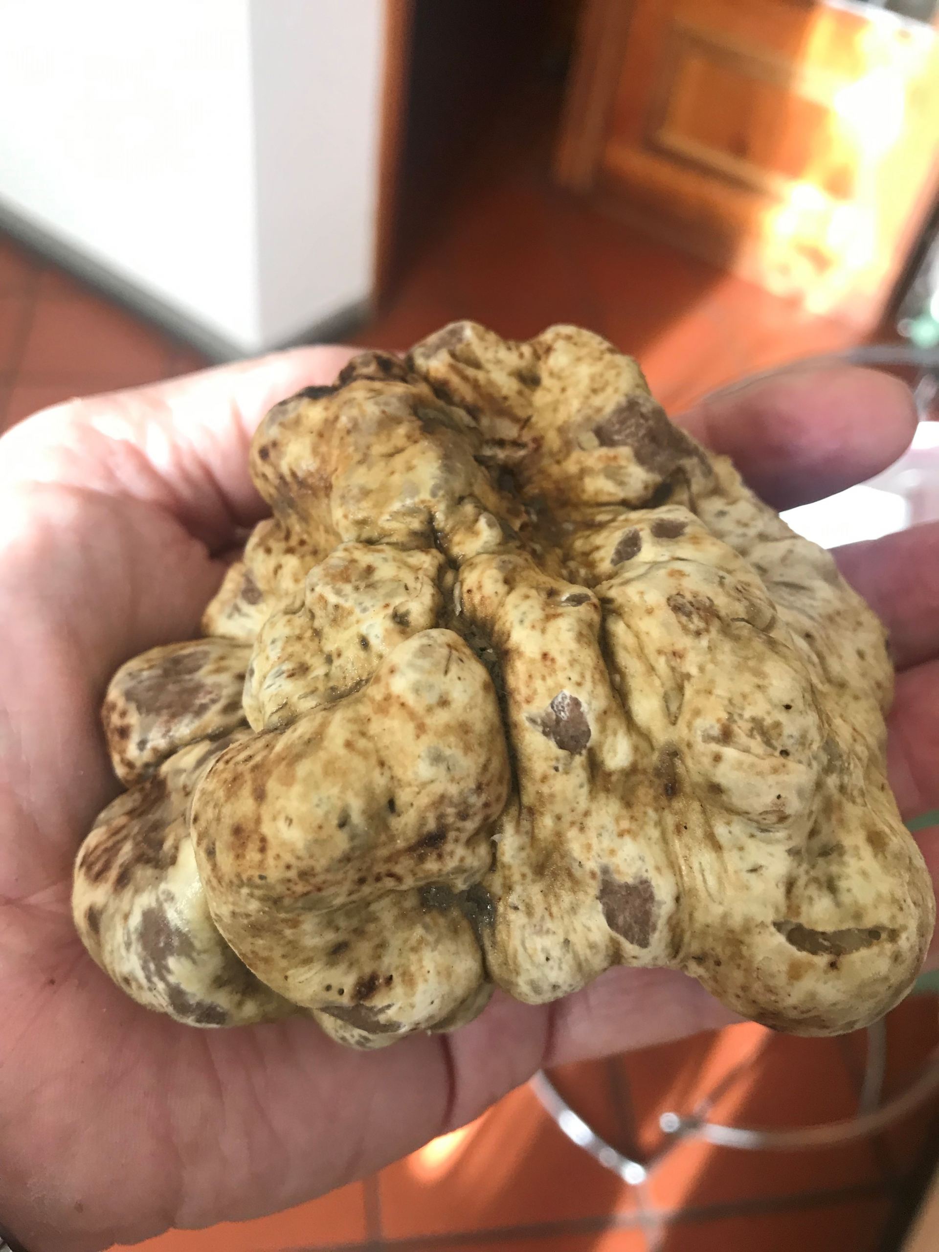 Castello del Monsignore