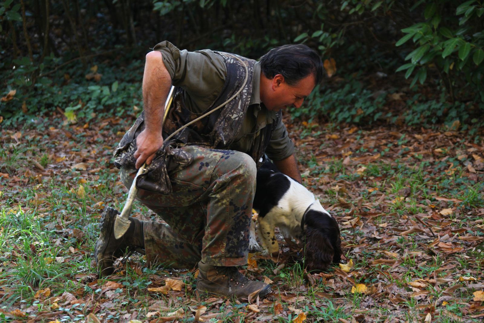 Castello del Monsignore