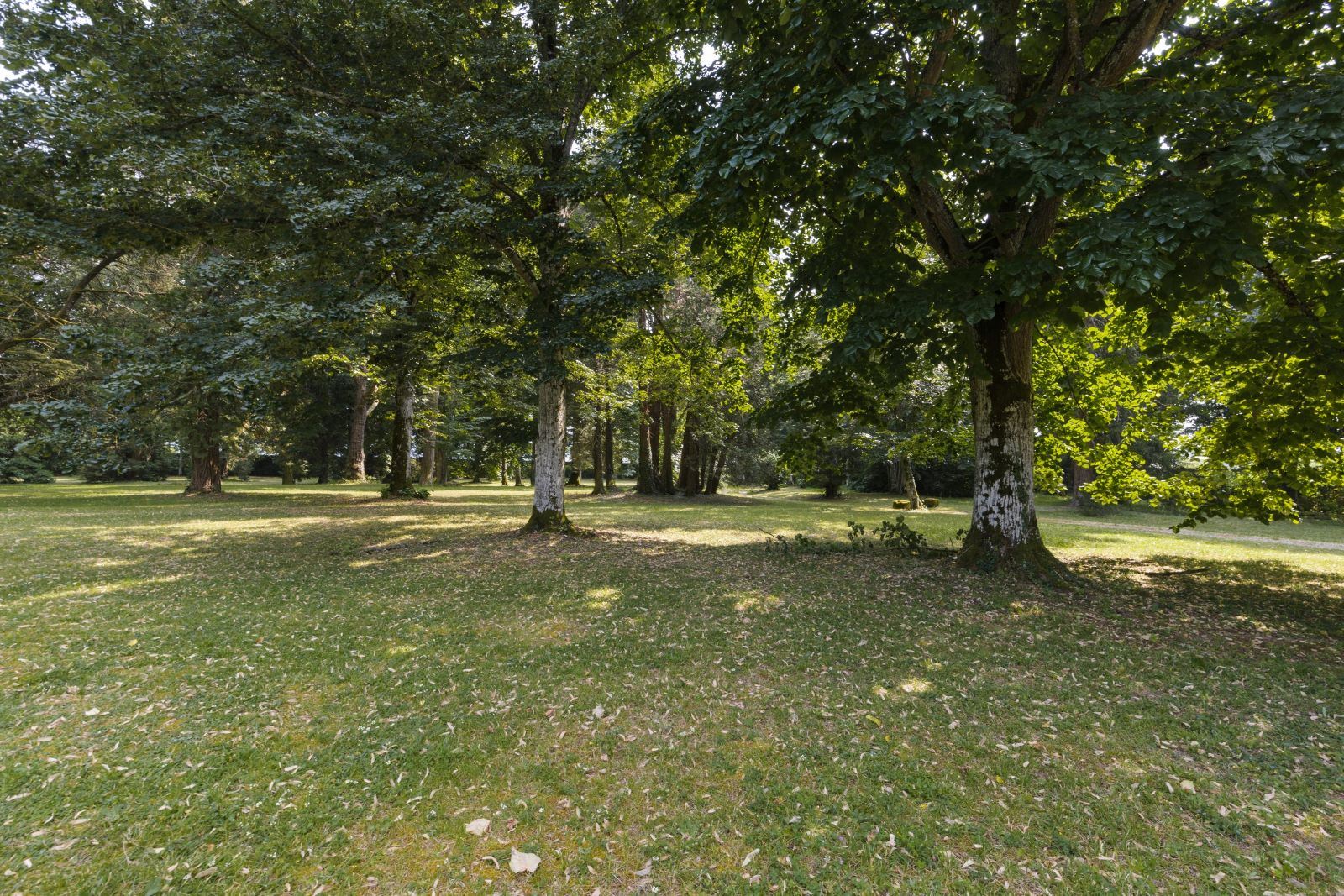 Castello del Monsignore