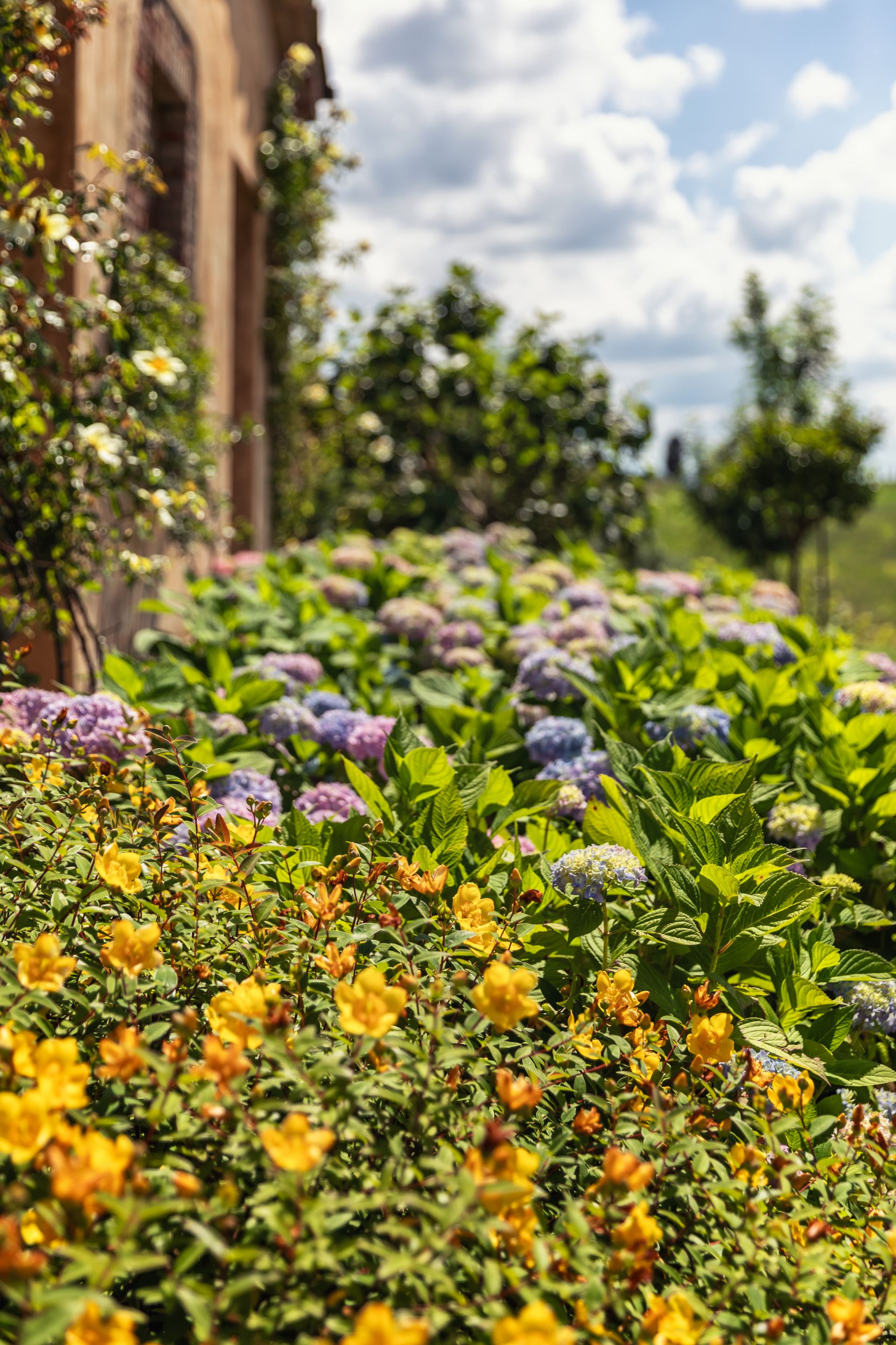 Villa Podere San Gerolamo