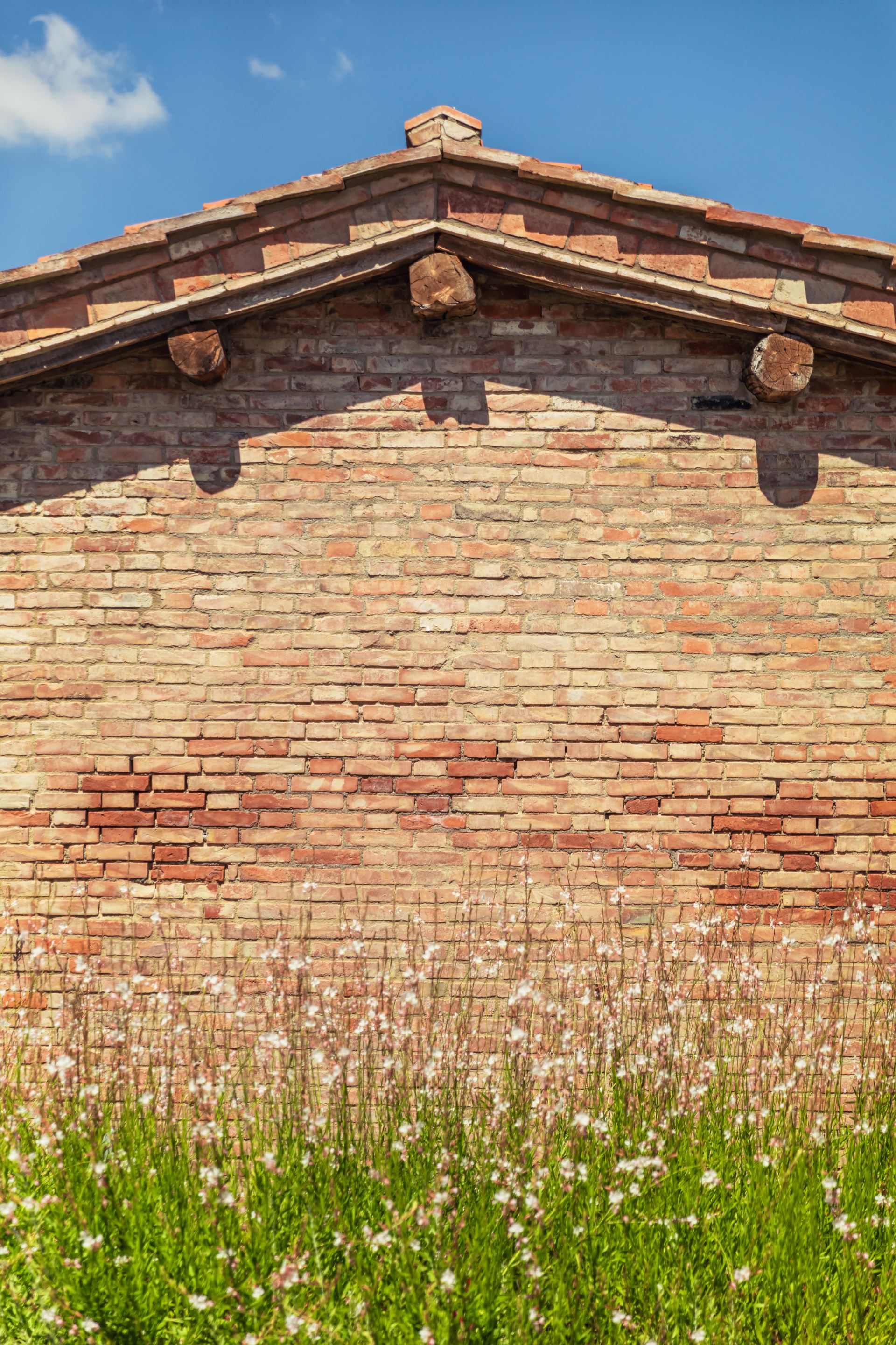 Villa Podere San Gerolamo