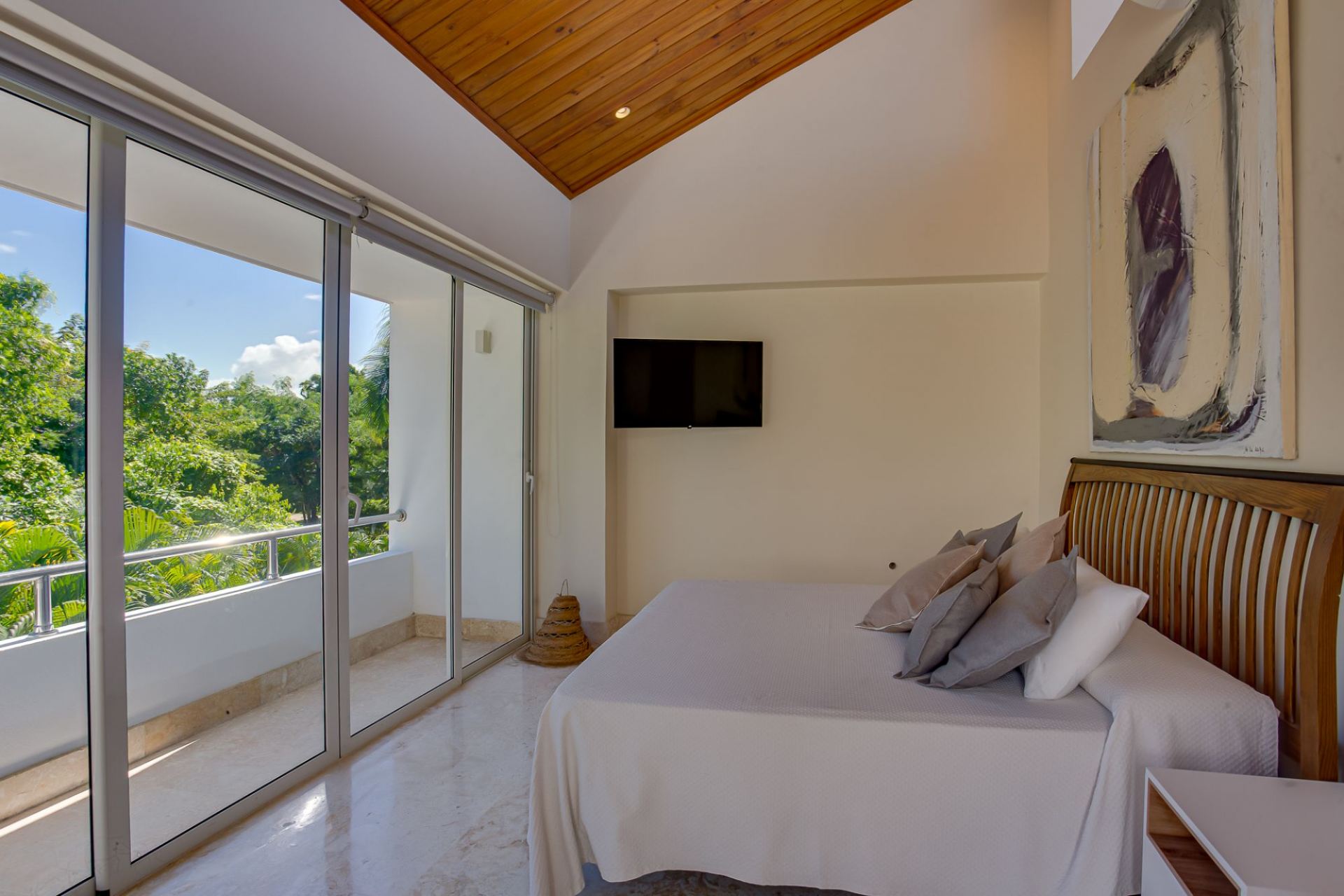 Villa Tortuga Bay C20