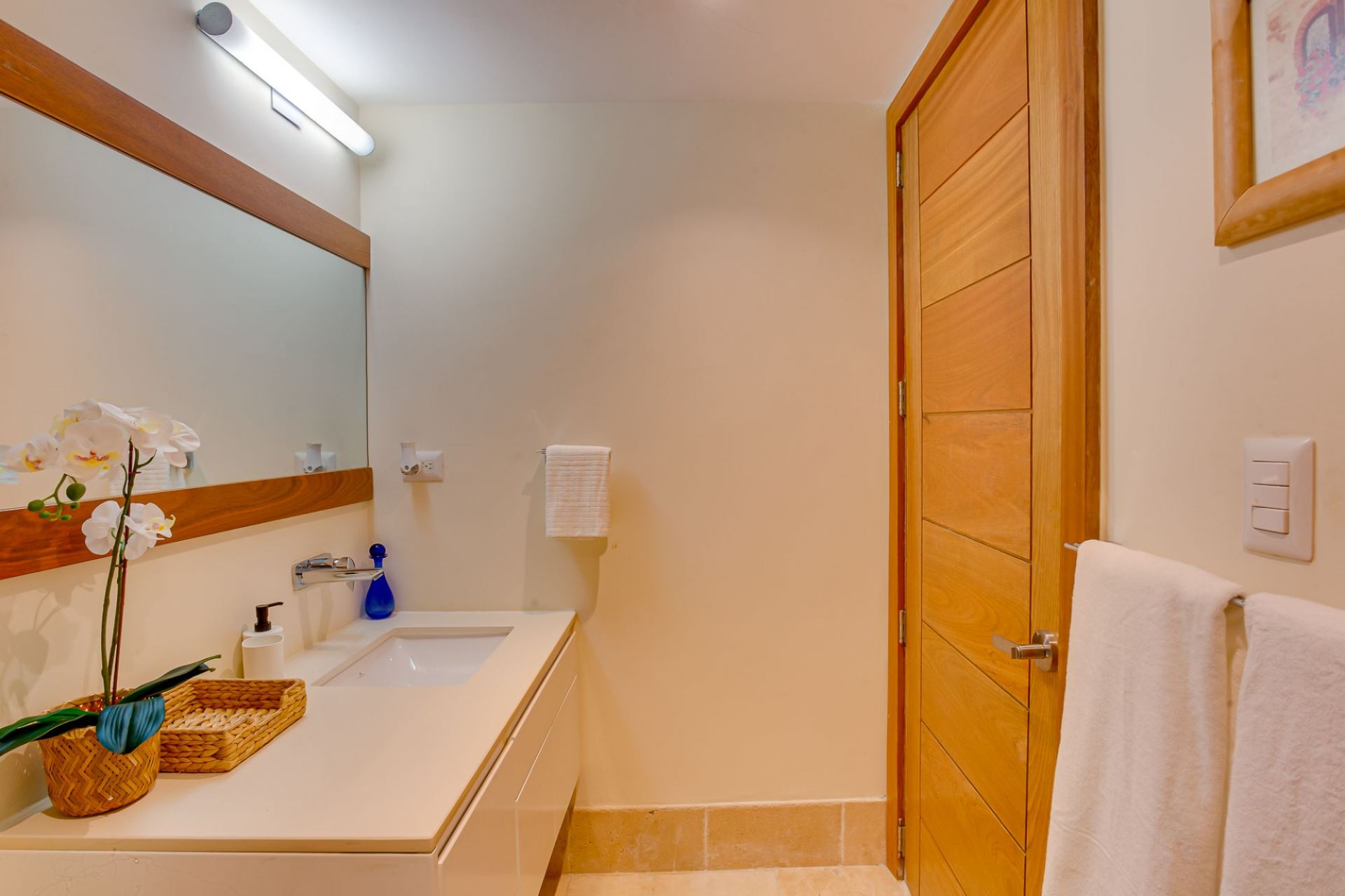 Villa Tortuga Bay C20