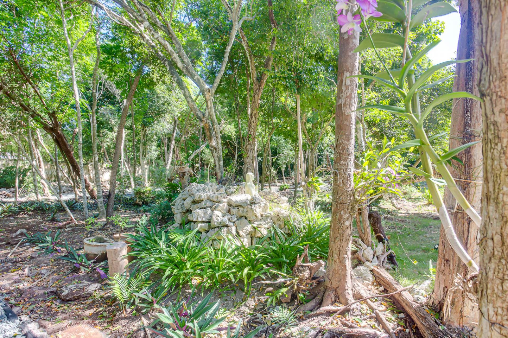 Villa Tortuga Bay C20