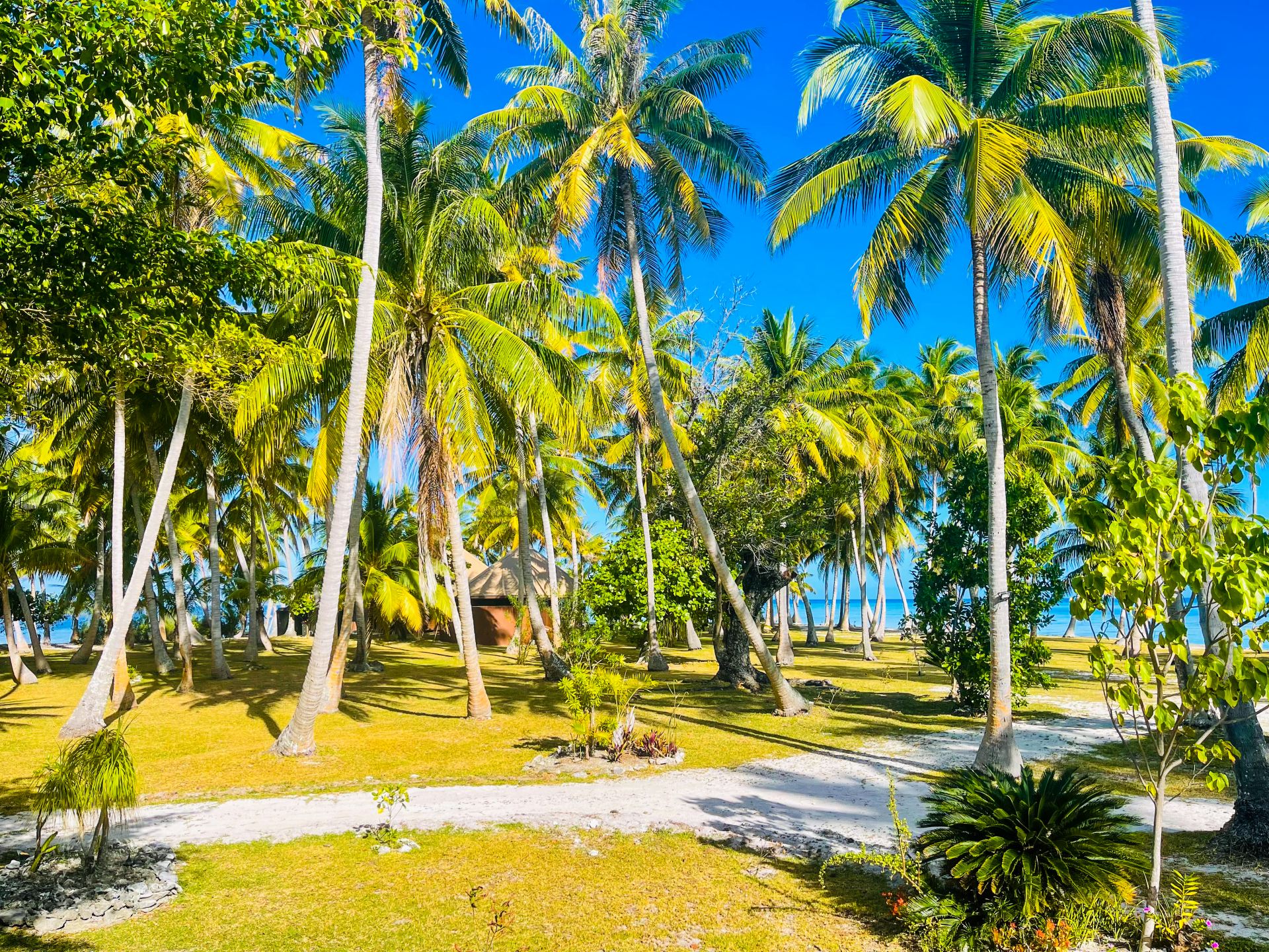 Motu Fara Private Island 