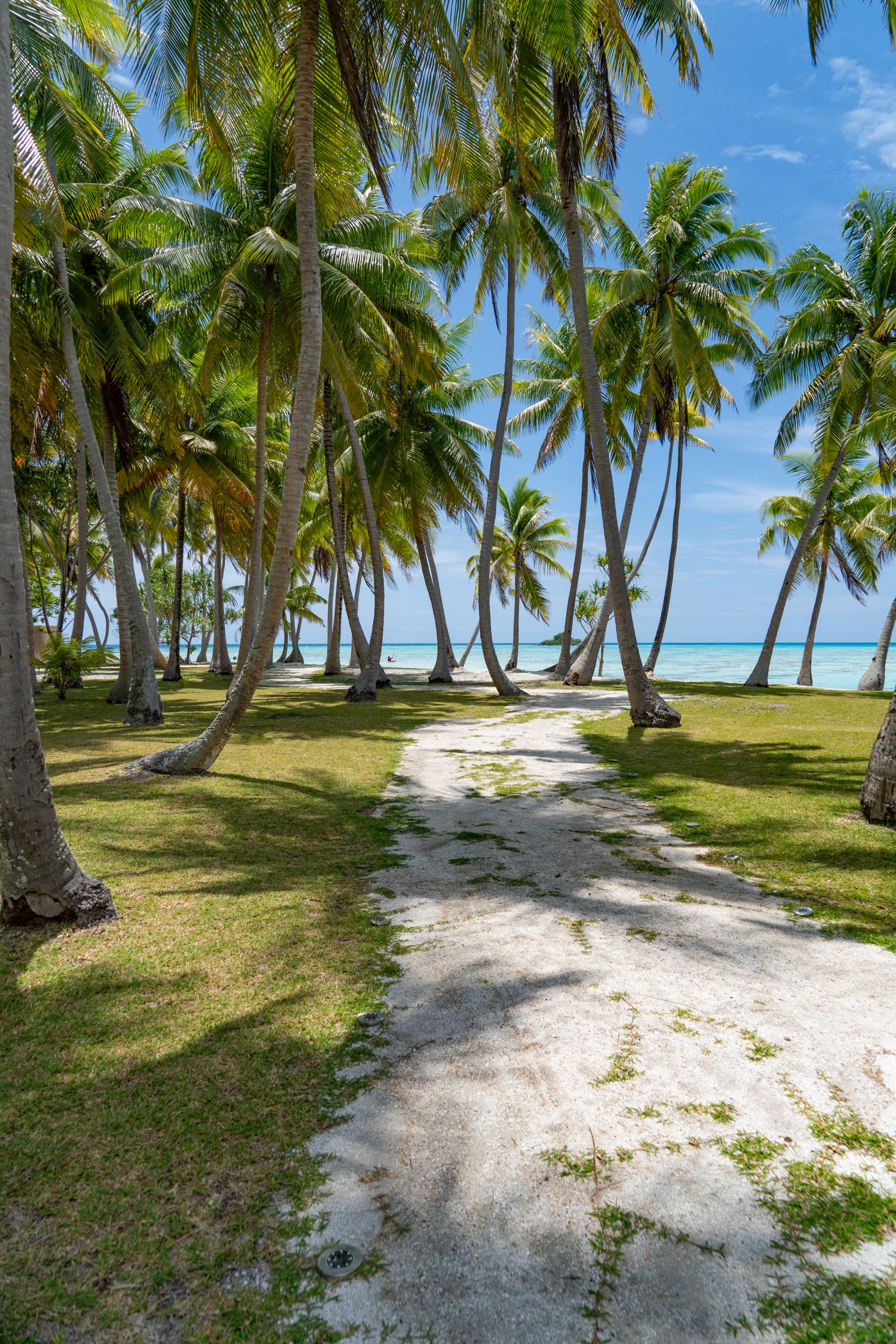 Motu Fara Private Island 