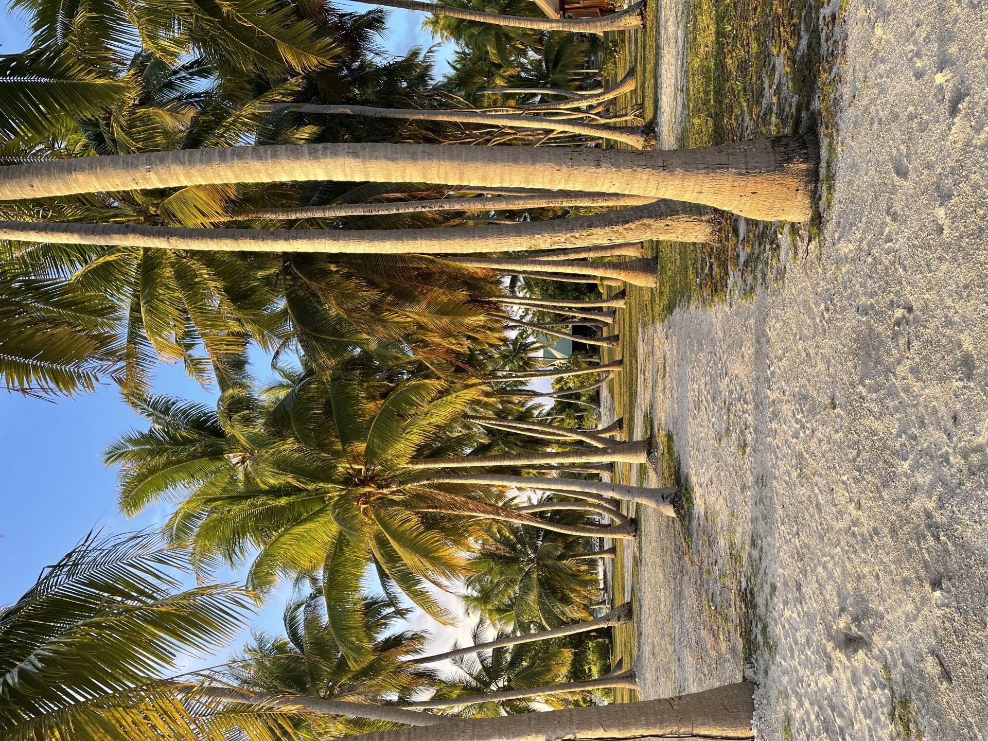 Motu Fara Private Island 