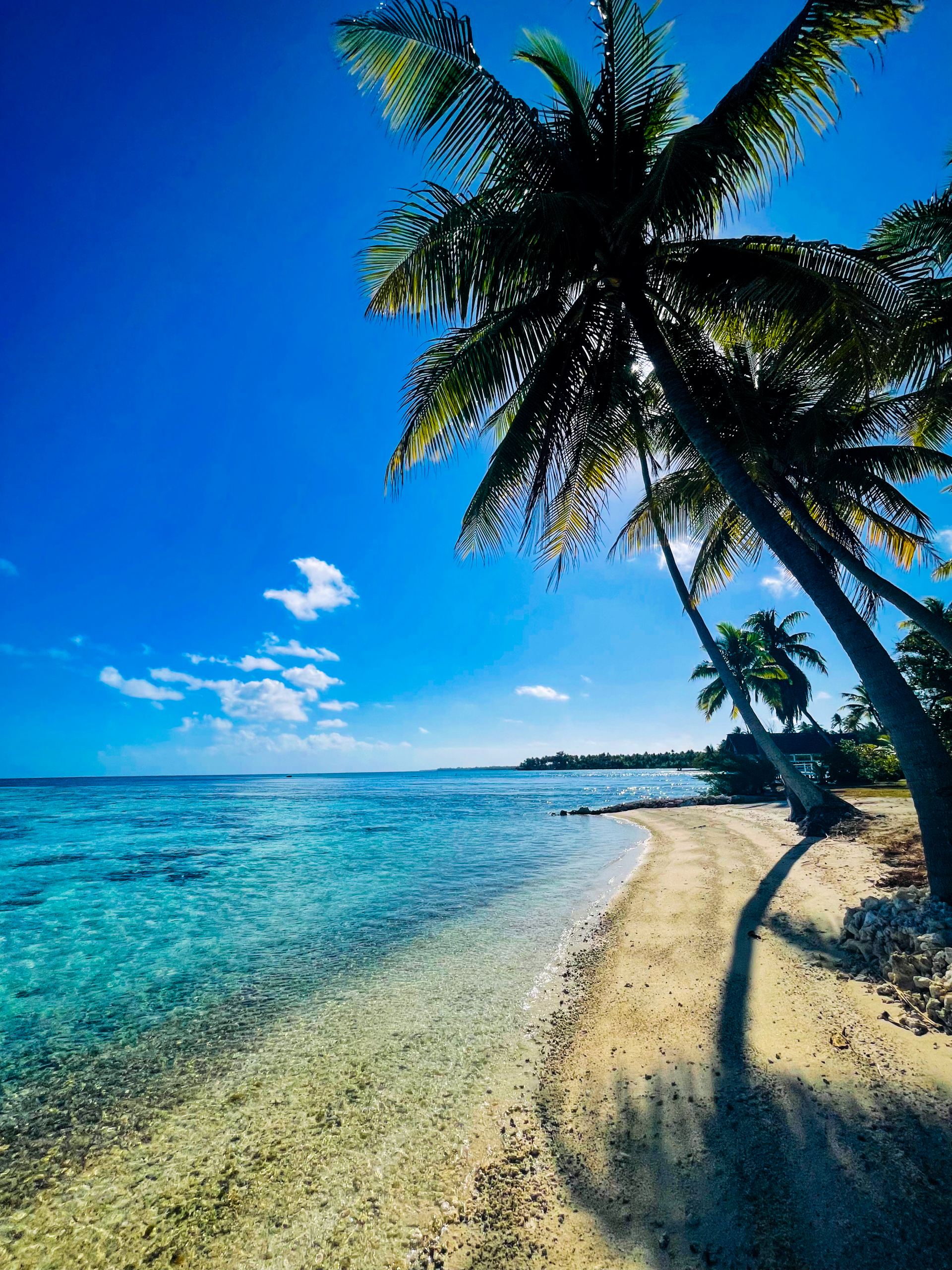 Motu Fara Private Island 