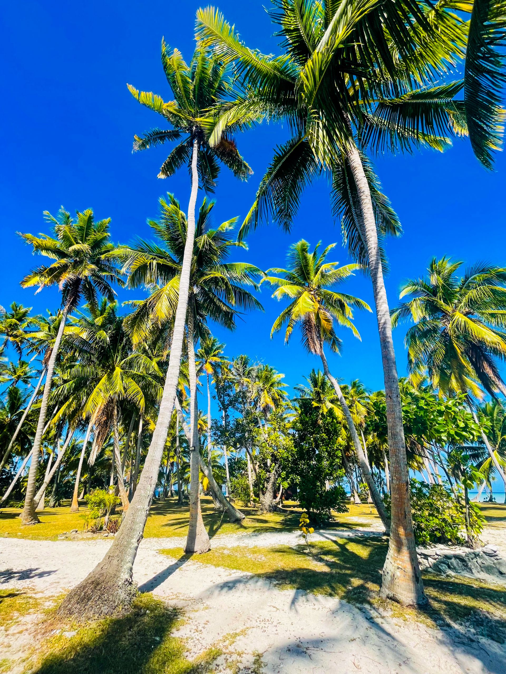 Motu Fara Private Island 