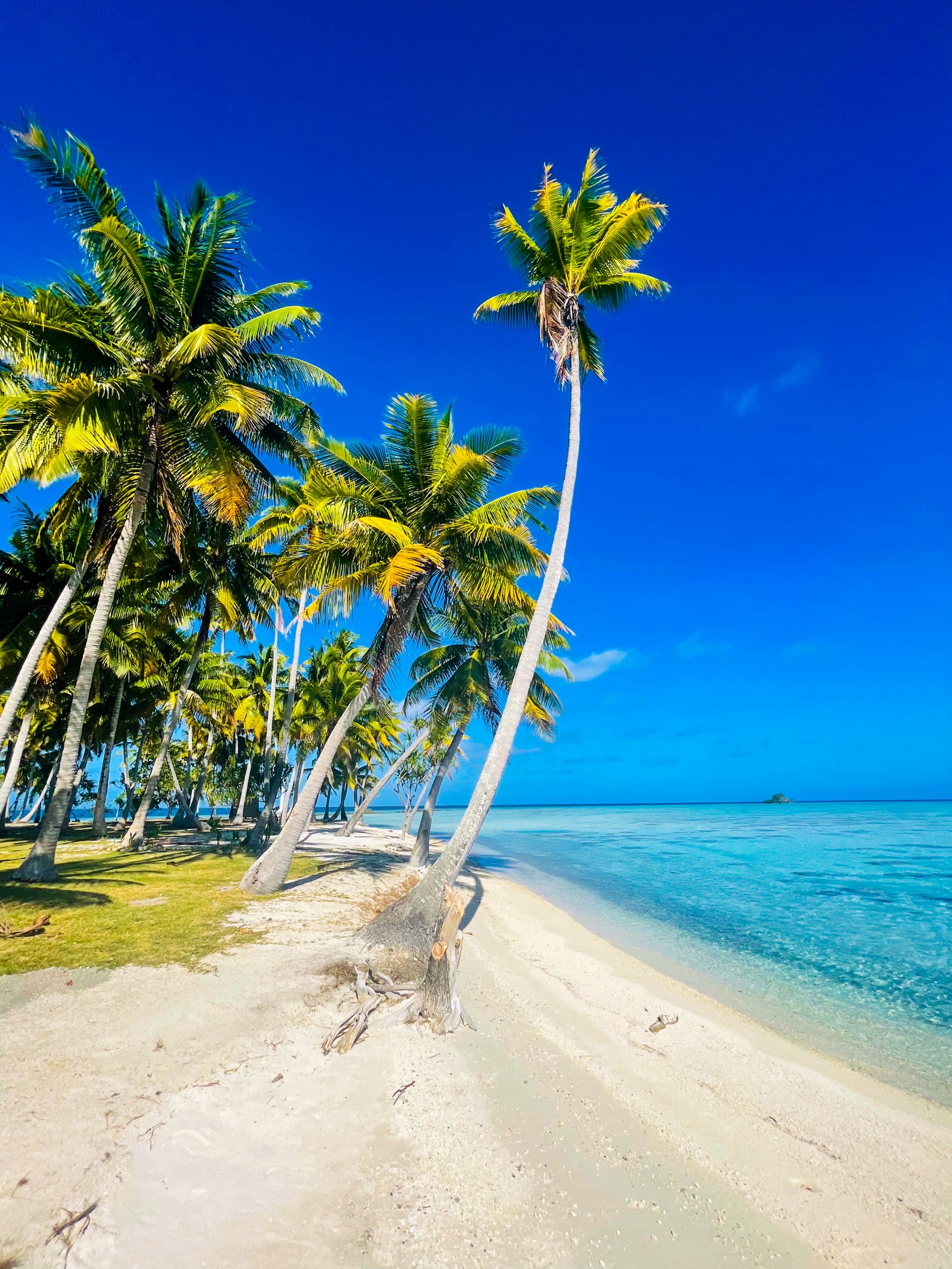 Motu Fara Private Island 