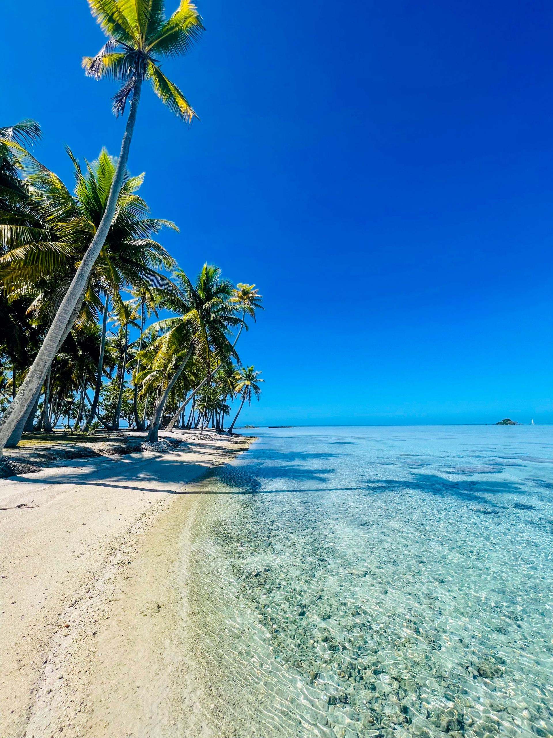 Motu Fara Private Island 