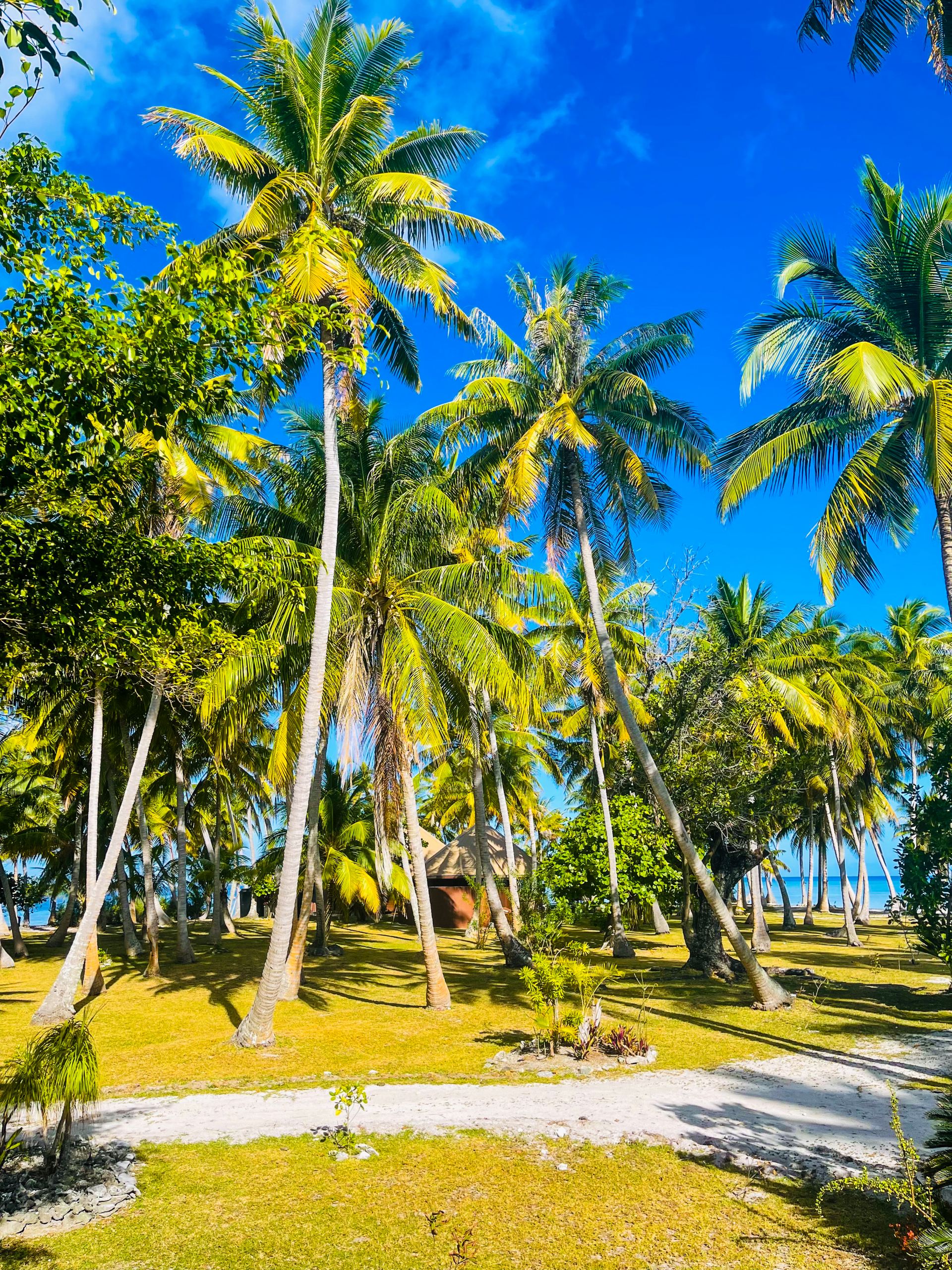 Motu Fara Private Island 